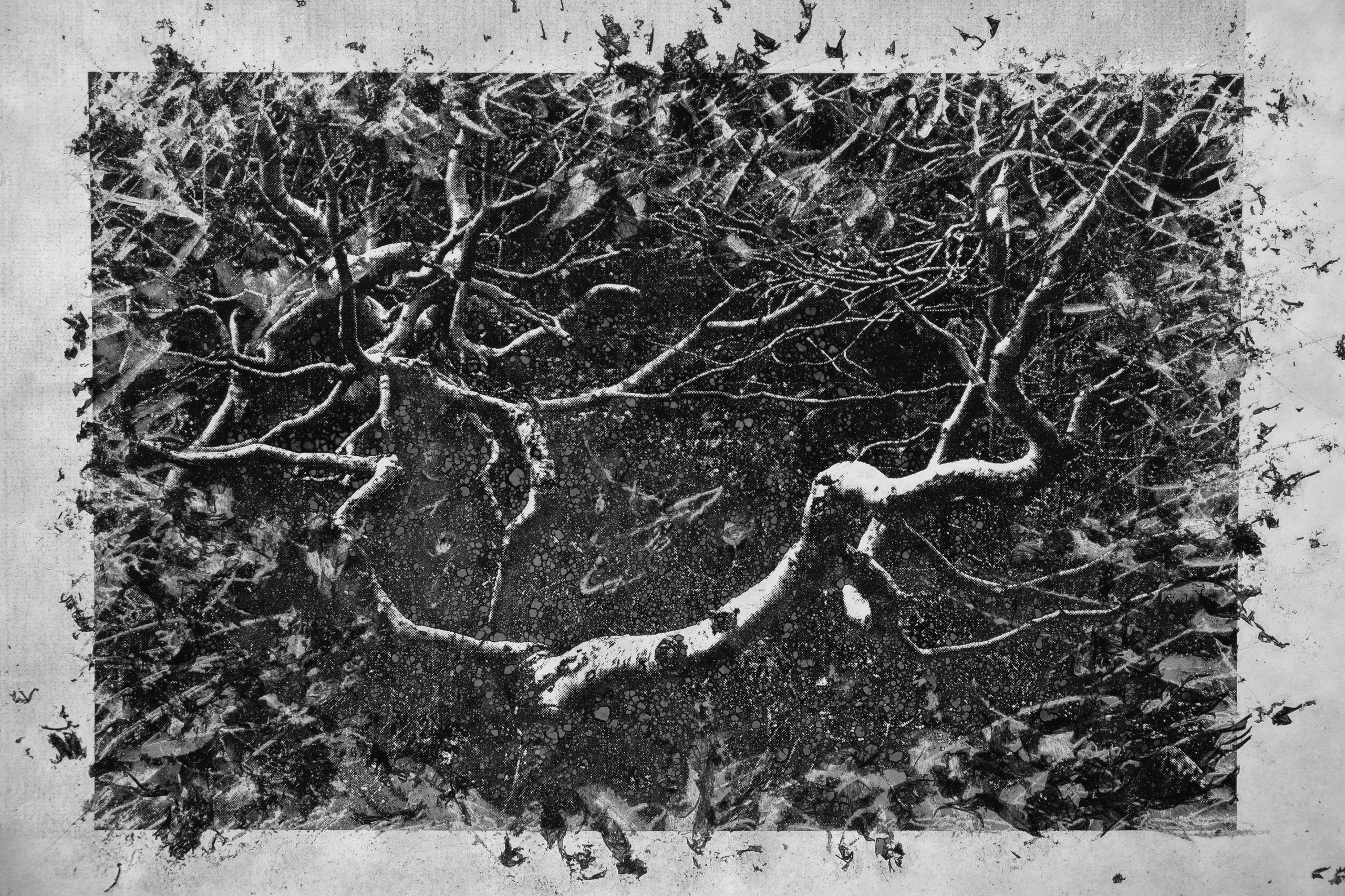 Boundaries of reality. Irina Borodina