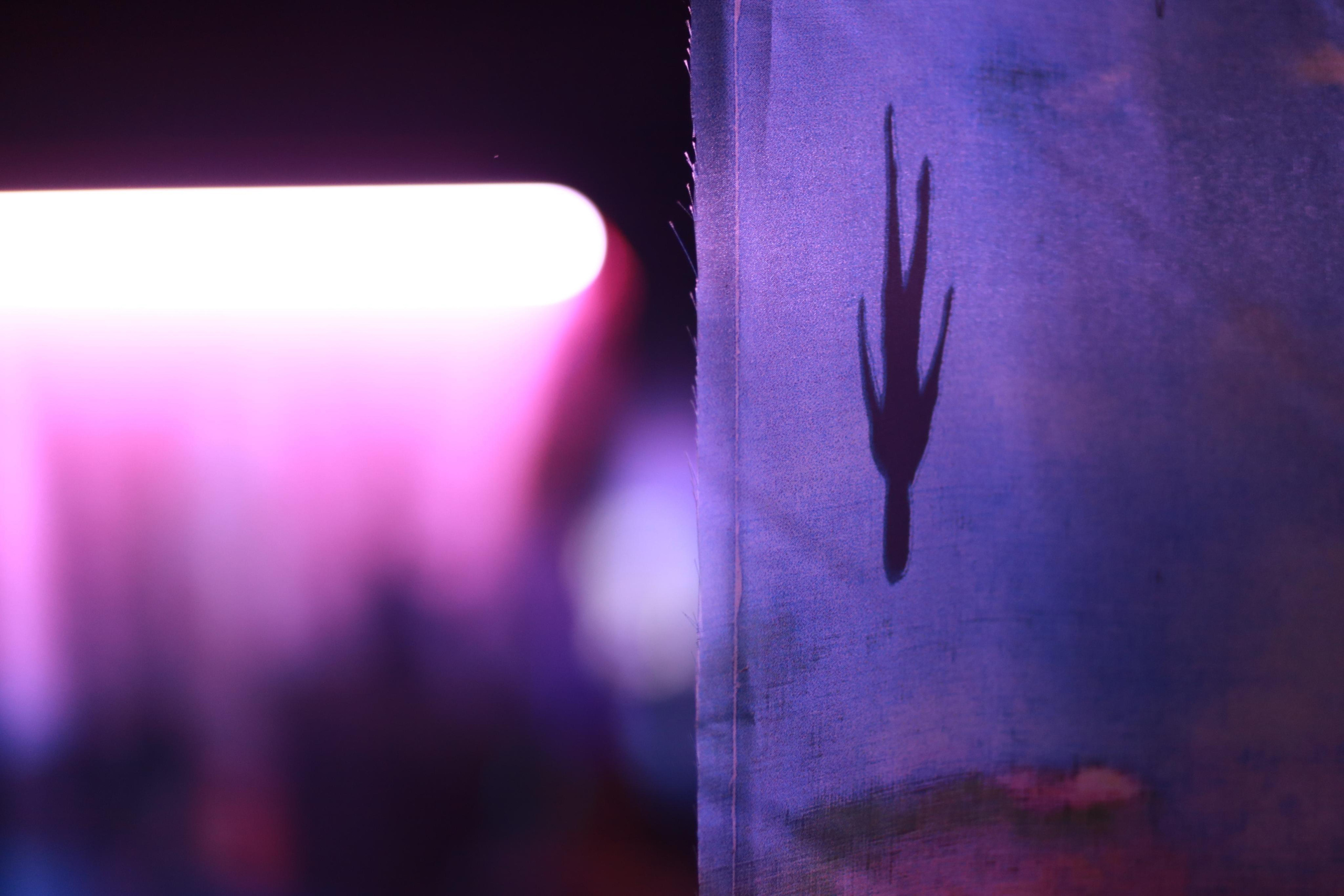 Портфолио. Фотограф в Москве Мария Бухаева