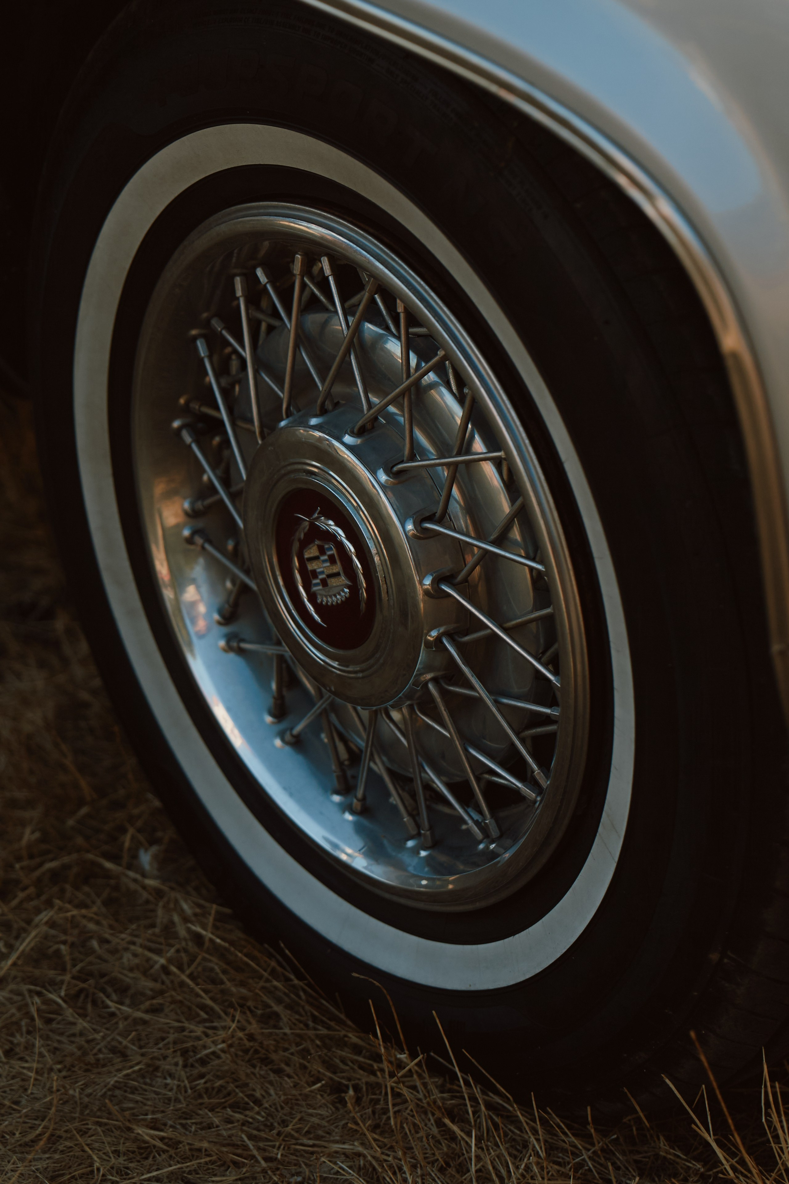 Один день. Фотограф Краснодар