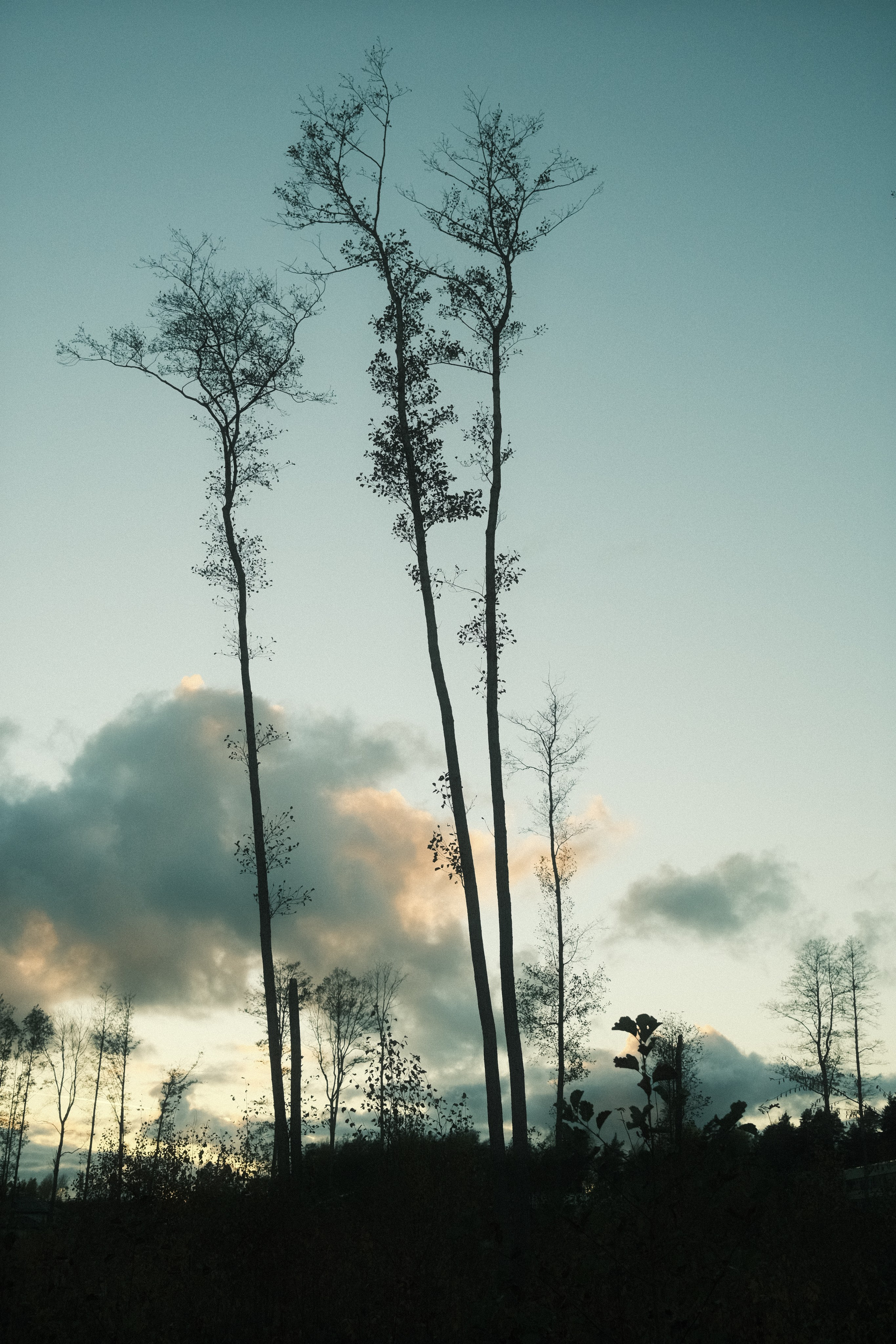 Невесомость. Портретный фотограф