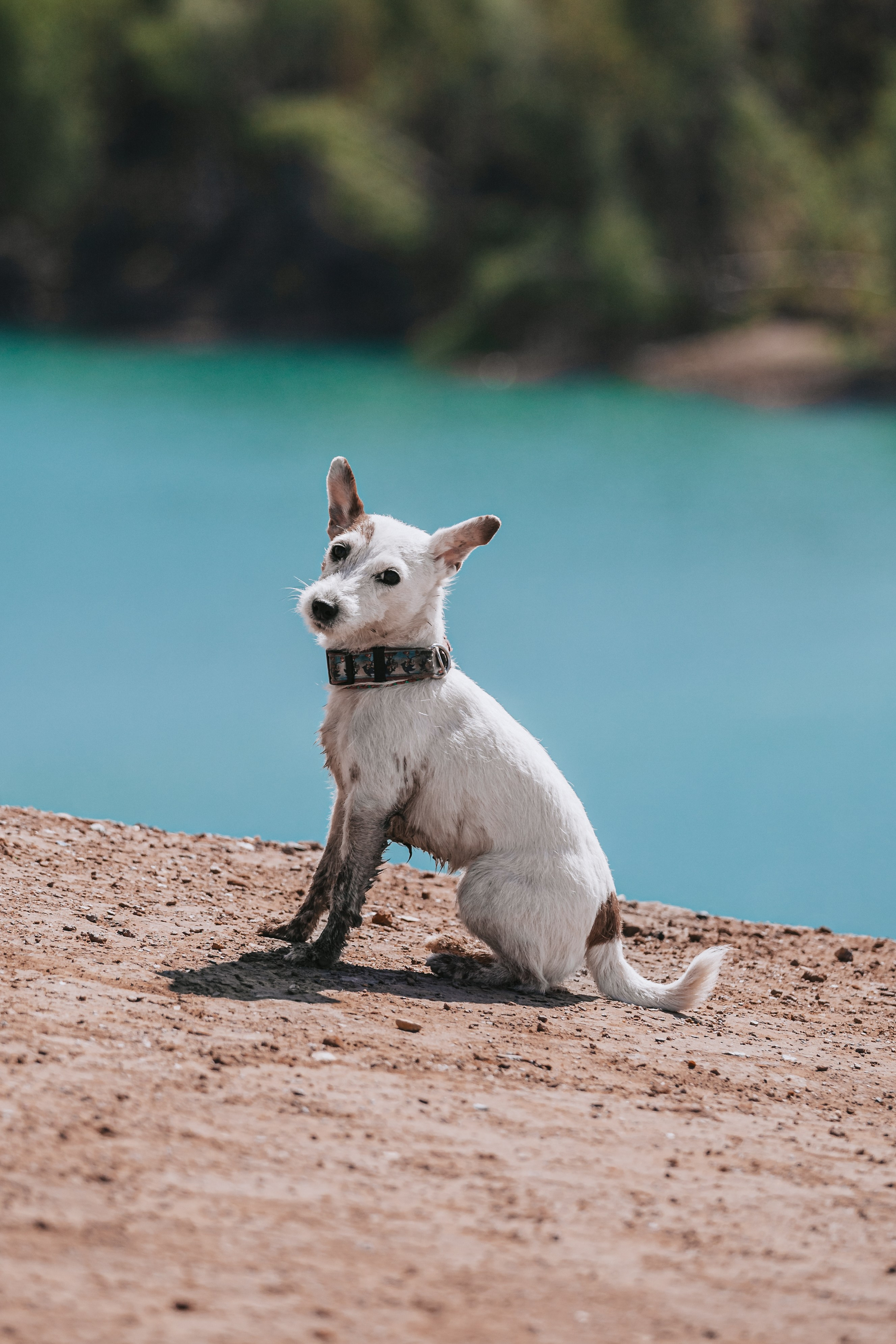 Кондуки. Фотограф-анималист Татьяна Степанова
