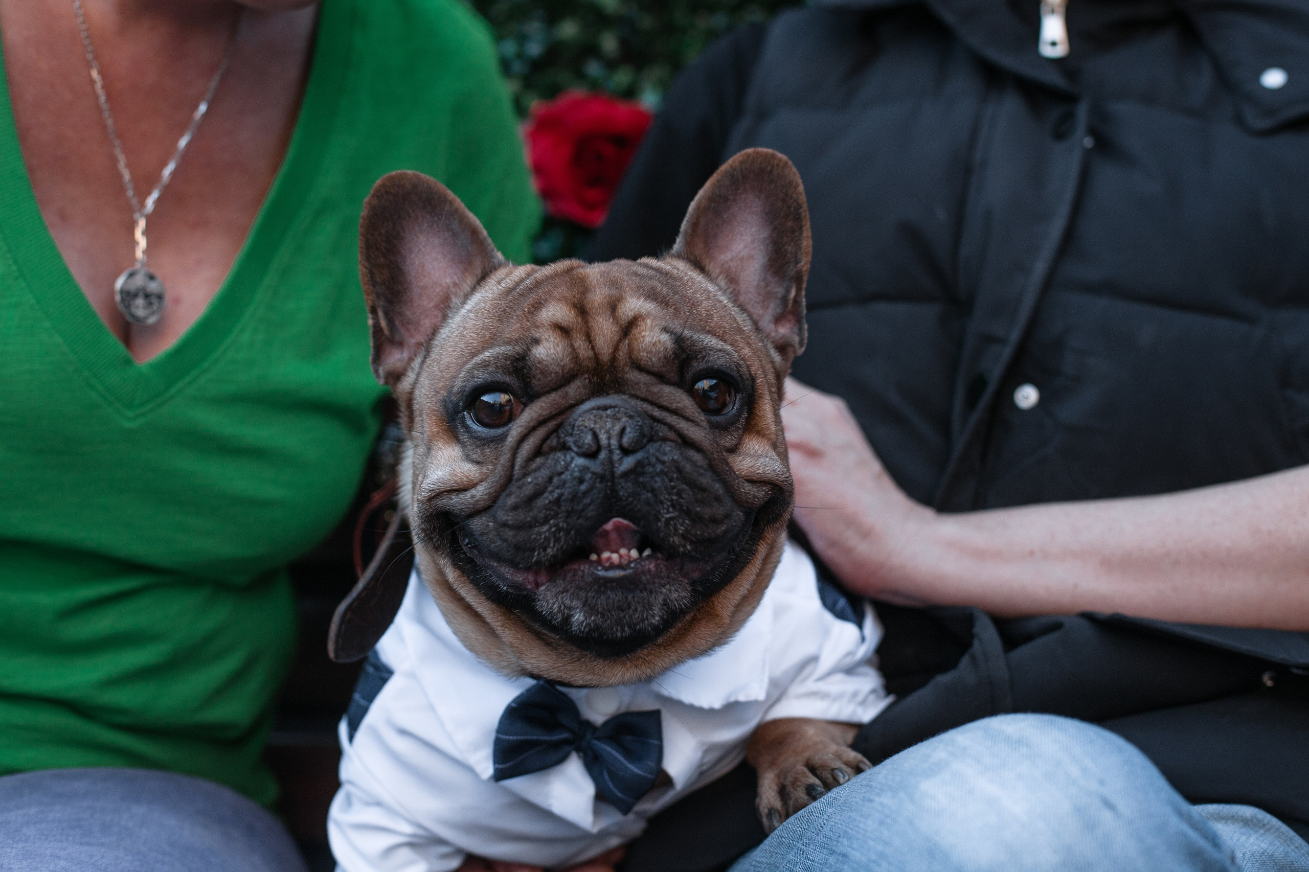 Бульбалл 23.04.2023. Фотограф-анималист Татьяна Степанова