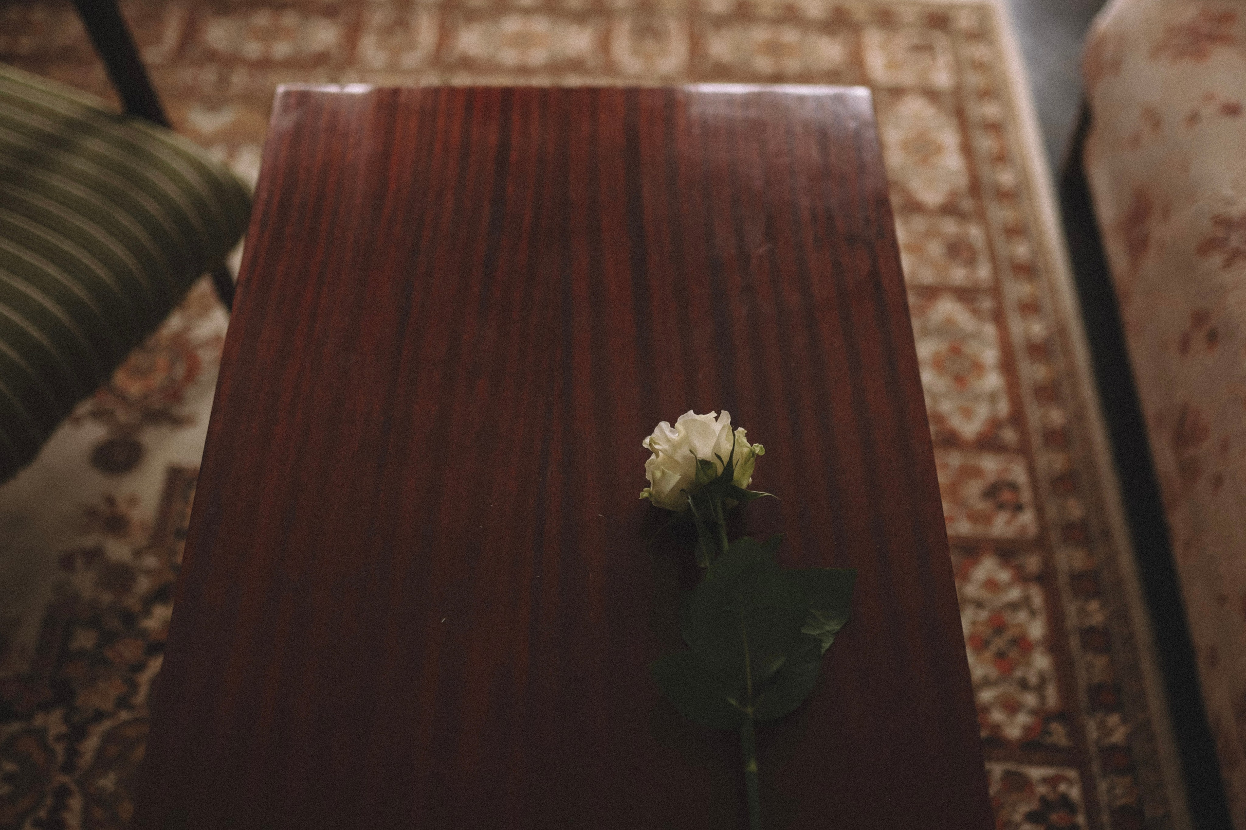 Женя. Фотограф в Нижнем Новгороде Кристина Батанова