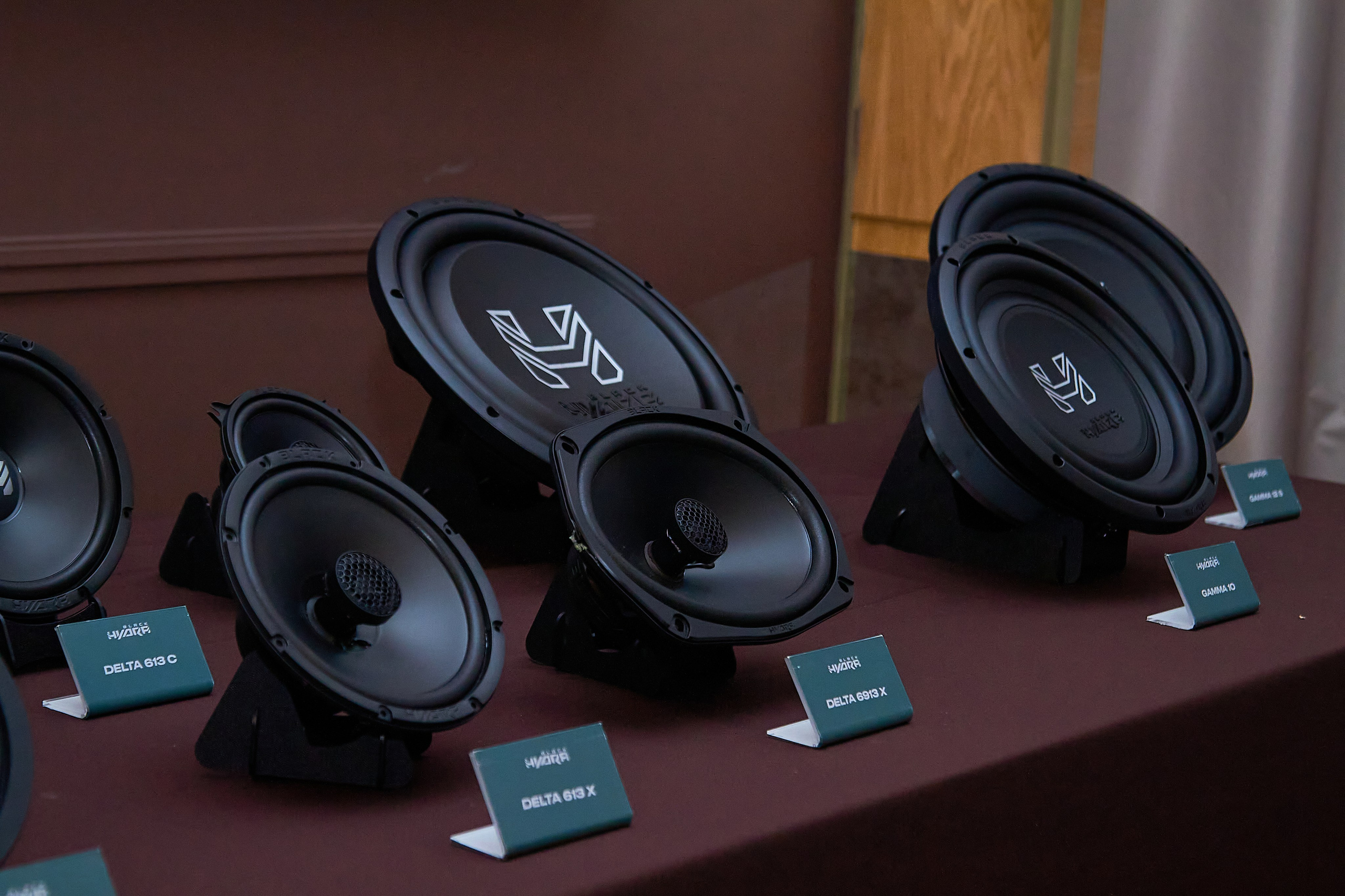 Конференция BLACK HYDRA DEAF BONCE 2025. Фотограф Мероприятий Новосибирск