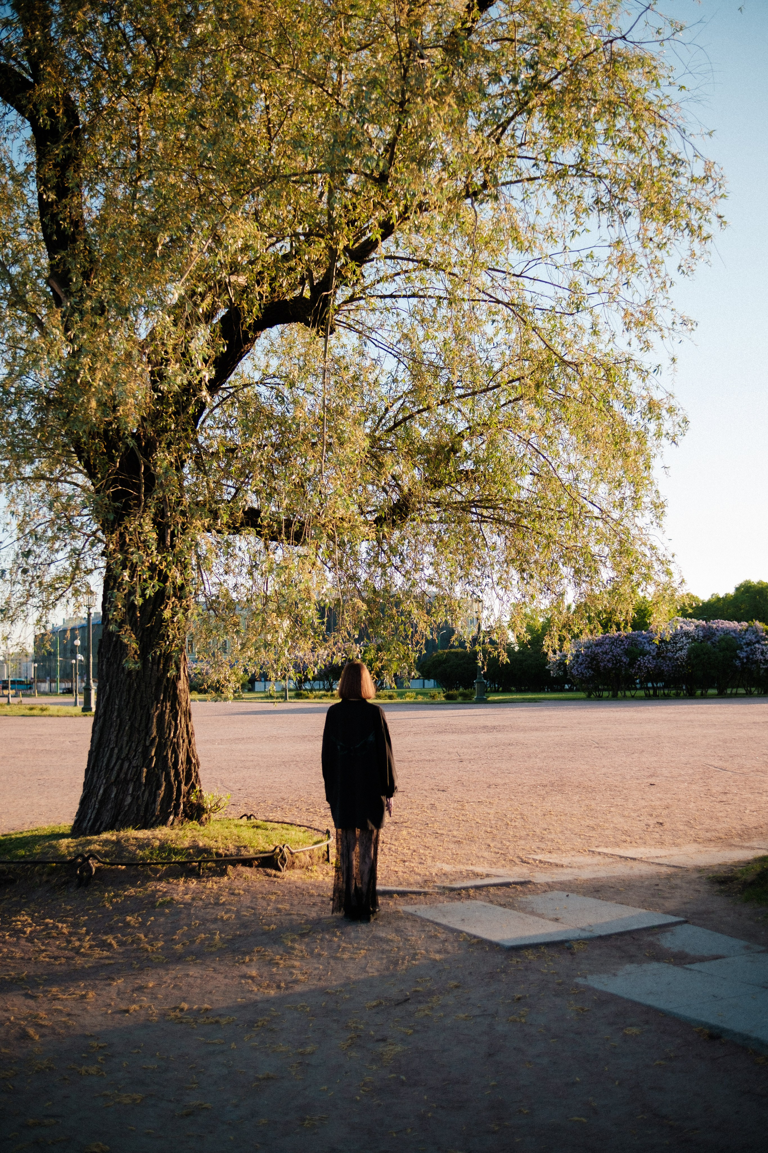 Утром на марсовом поле. Михаил Долганов