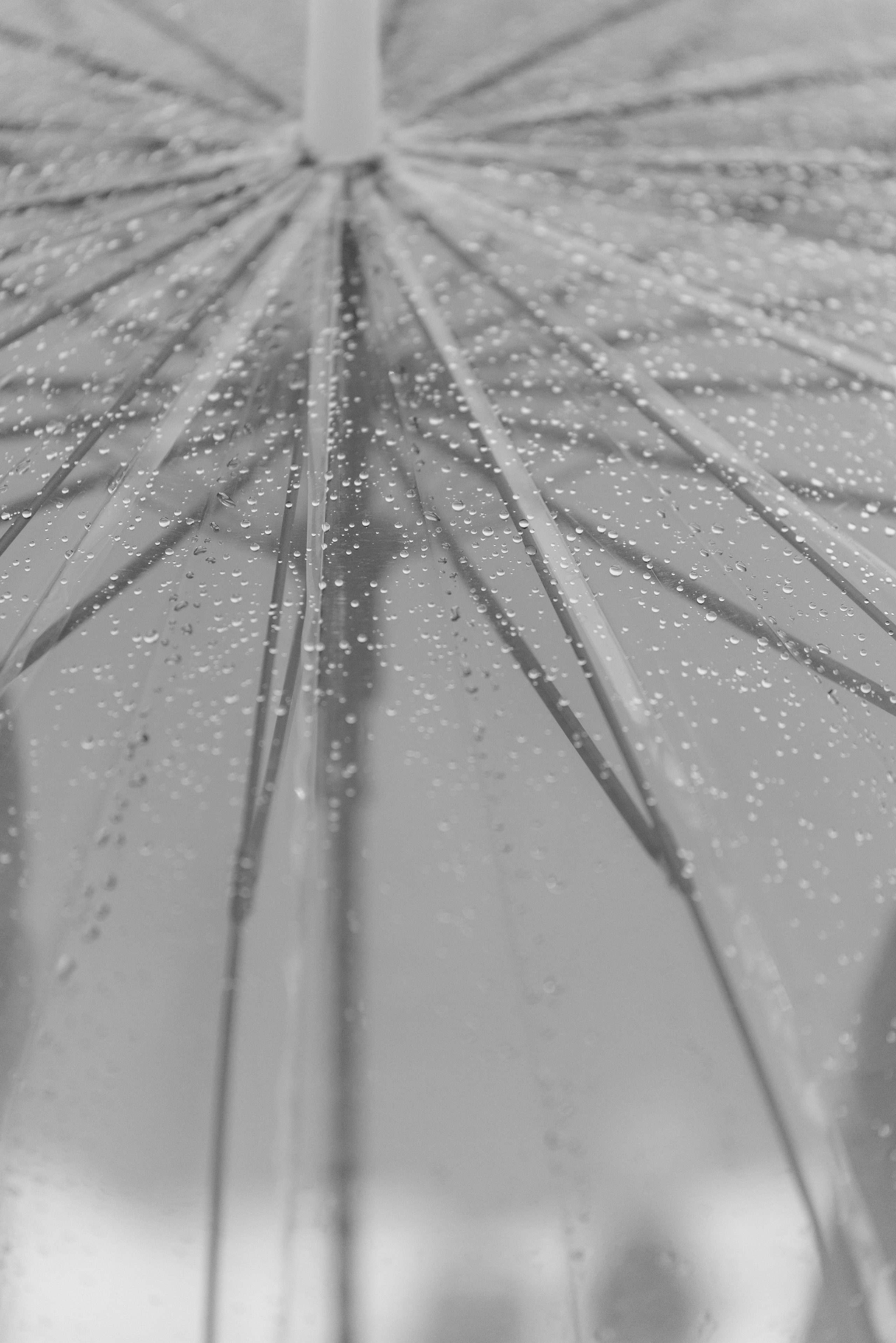 Денис и Анастасия. Wedding and Reportage photographer Marmarov Christya