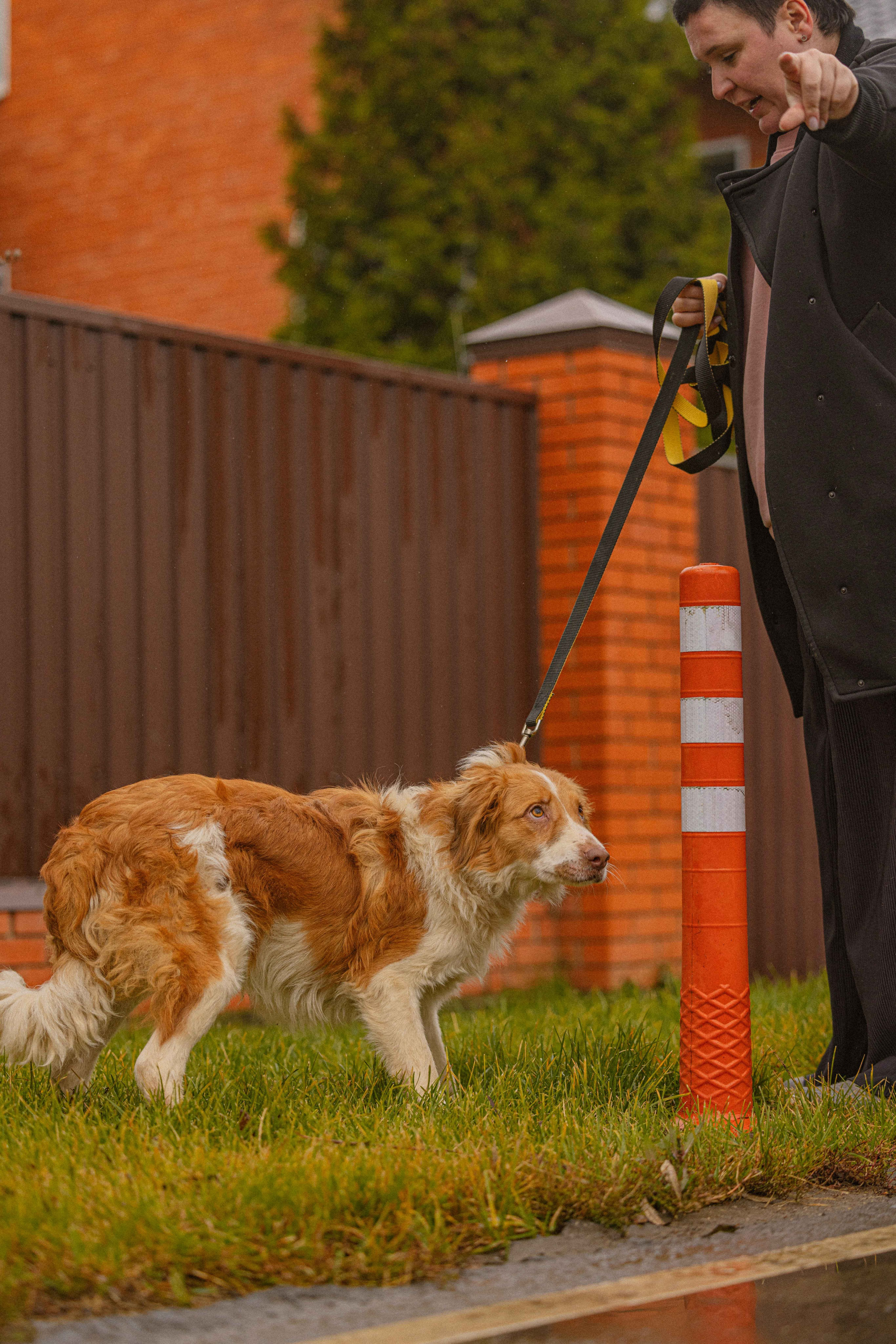 Передержка. Фотограф-анималист в Москве Лера Черноног