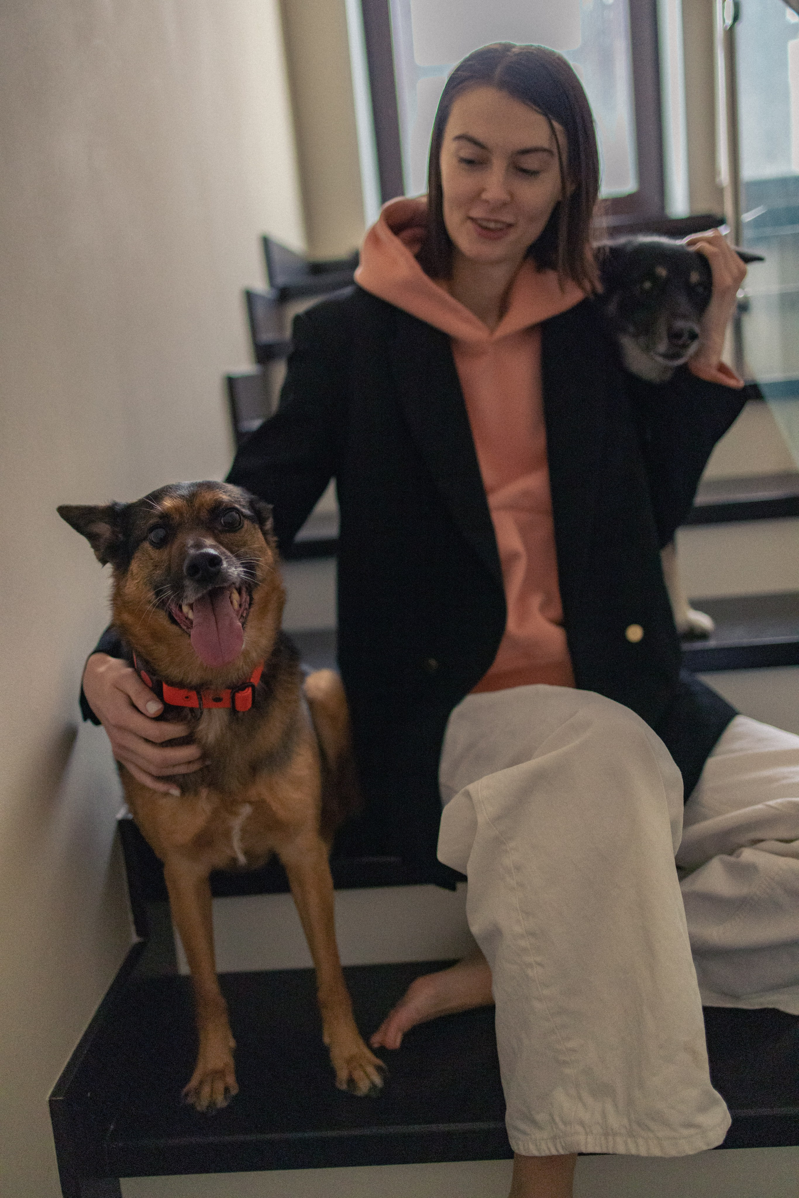 Ника, Матиша и Герда. Фотограф-анималист в Москве Лера Черноног