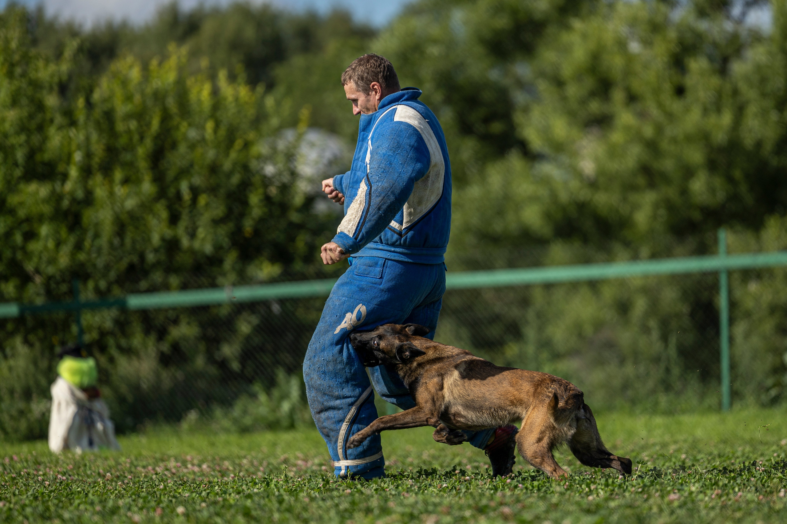 Соревнования по Мондьорингу г. Вологда 10-11.08.2024. Фотограф-анималист Анна Маринич