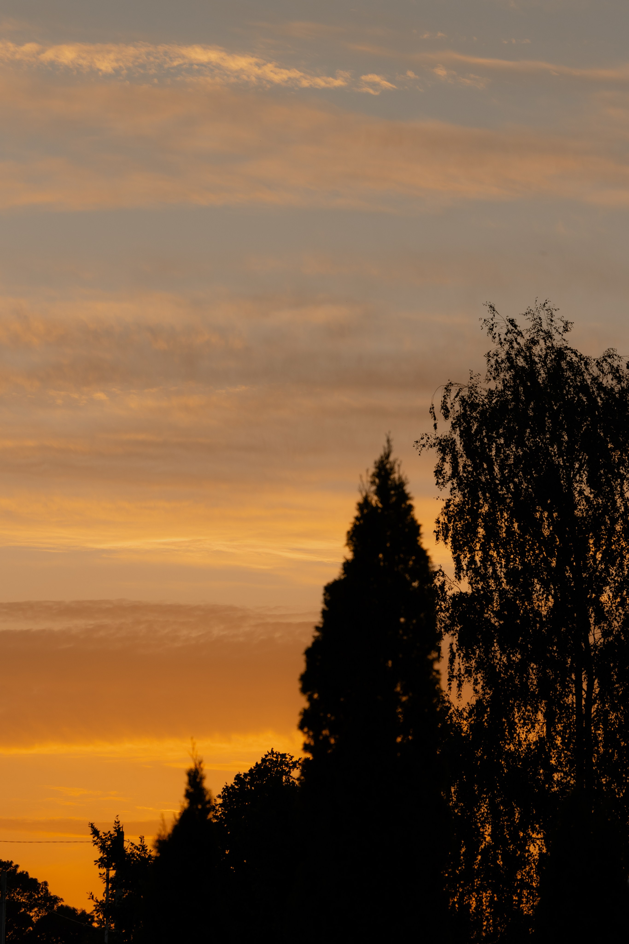 Alina & Vlad, Grand Chalet. Свадебный фотограф Кристина Винокурова