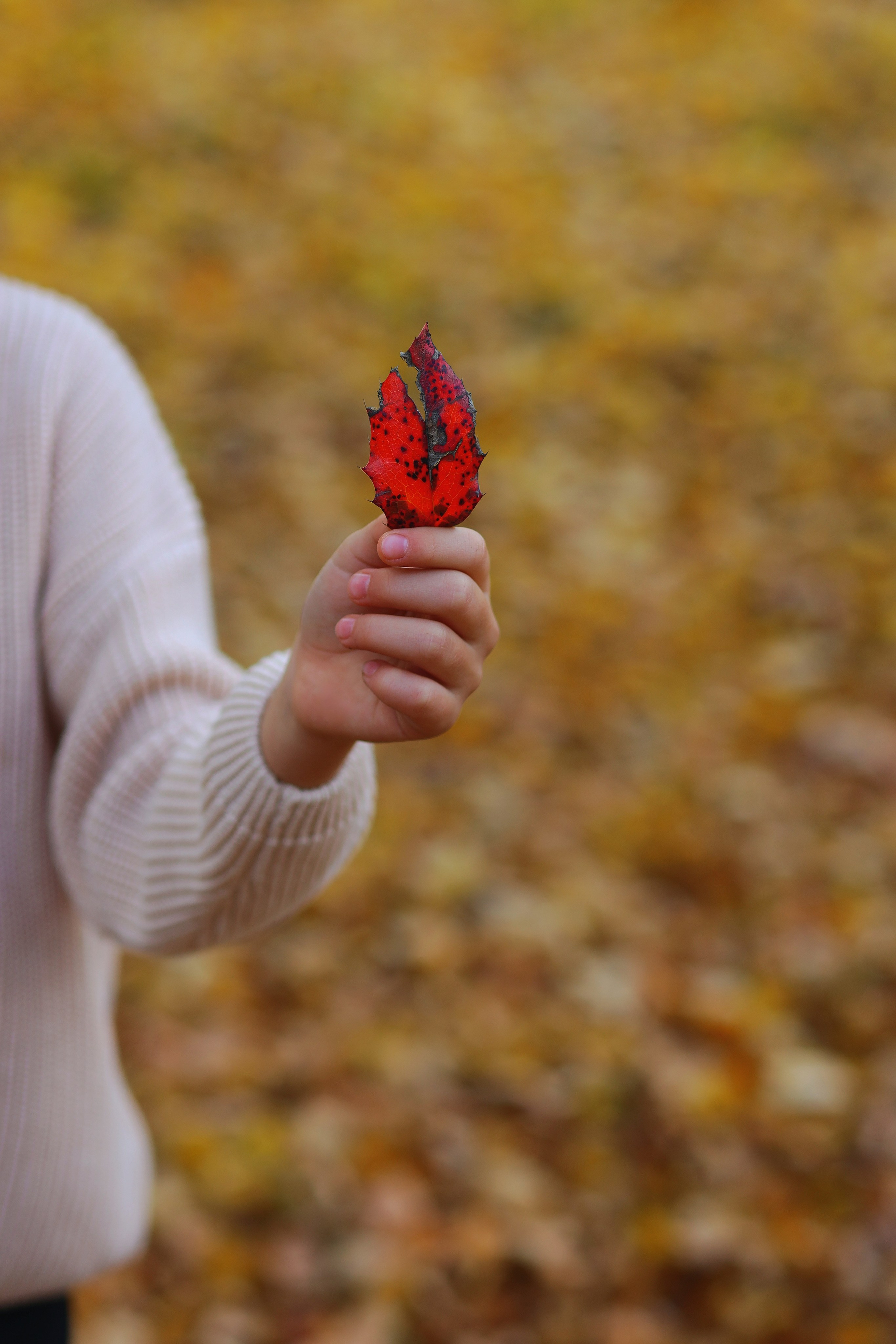 Анастасия и Вероника. Портретный фотограф Москва Виктория Гранд
