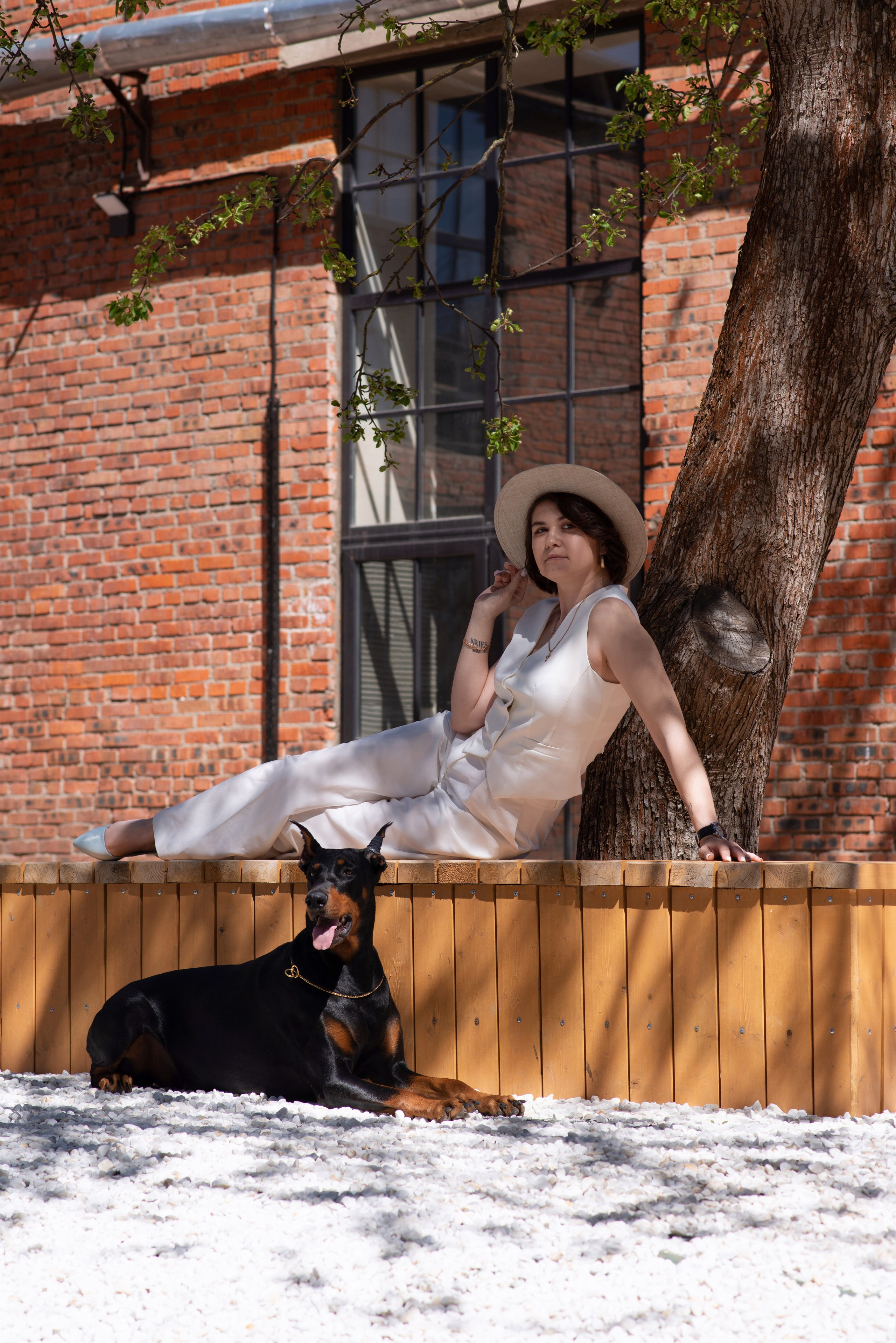 Уличная Фотопроект «Доберман». Фотограф Софья Власенко | Вологда