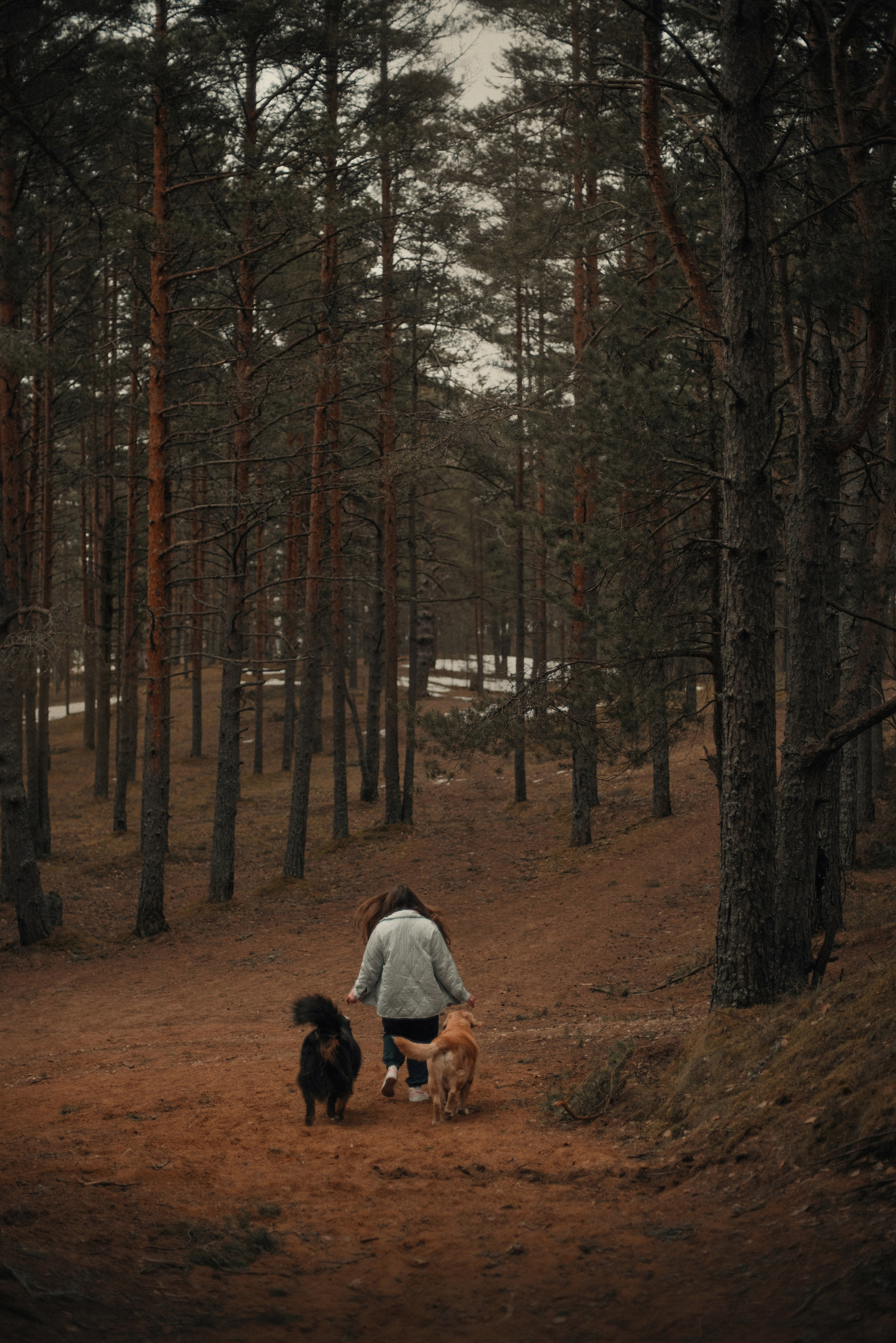 Прогулка: берн Пума, Фрэнк и Юля в Питере. Портфолио