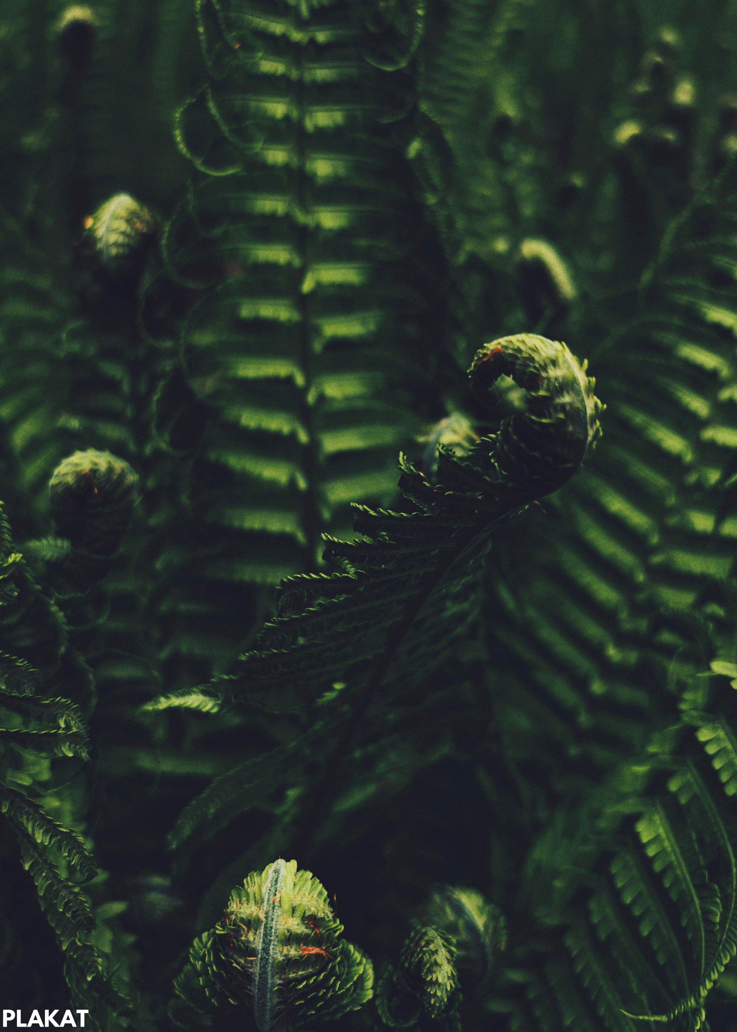 @natallii_zhukovskaya