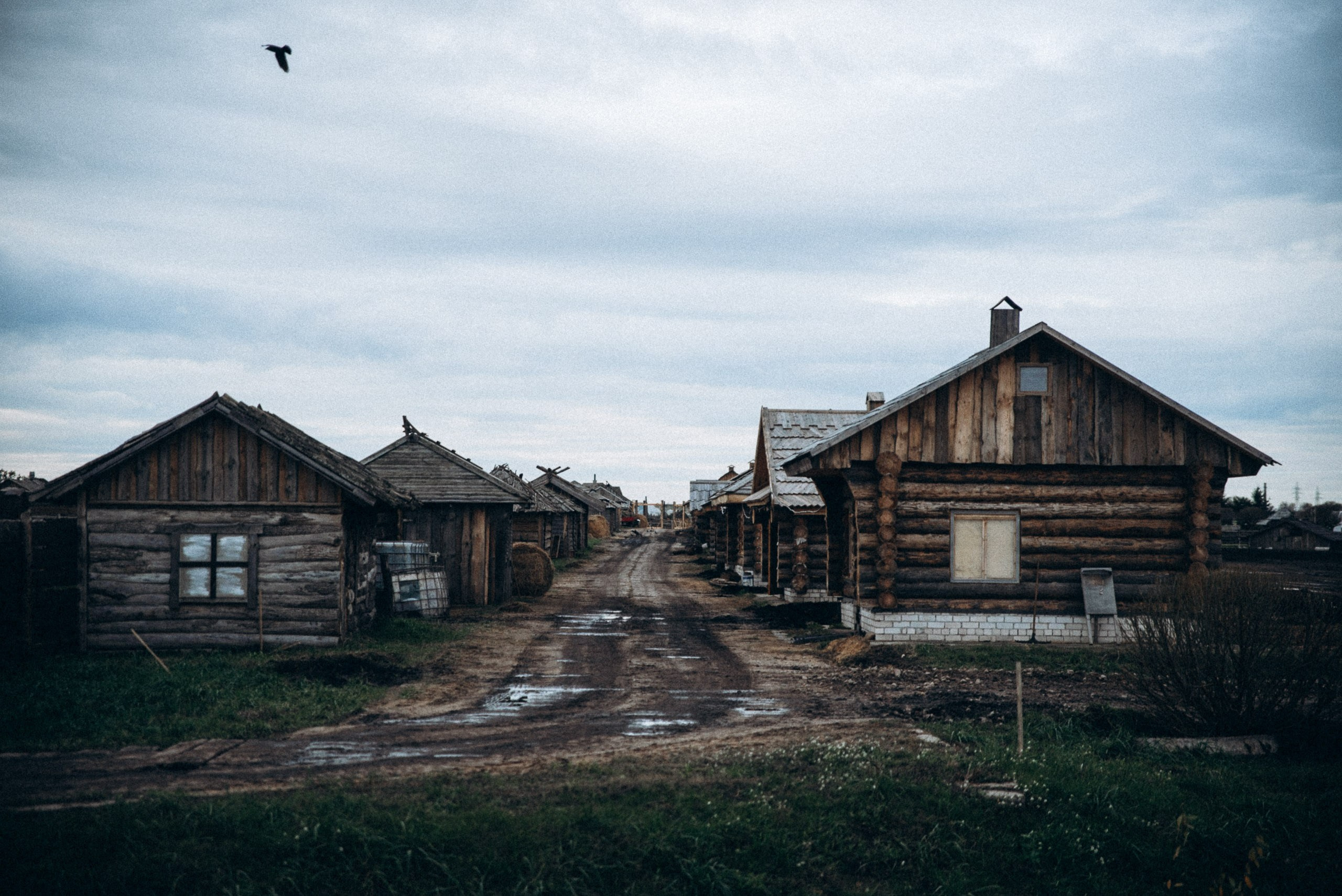 Диприз 🦌🌿🦝. Anita_photo