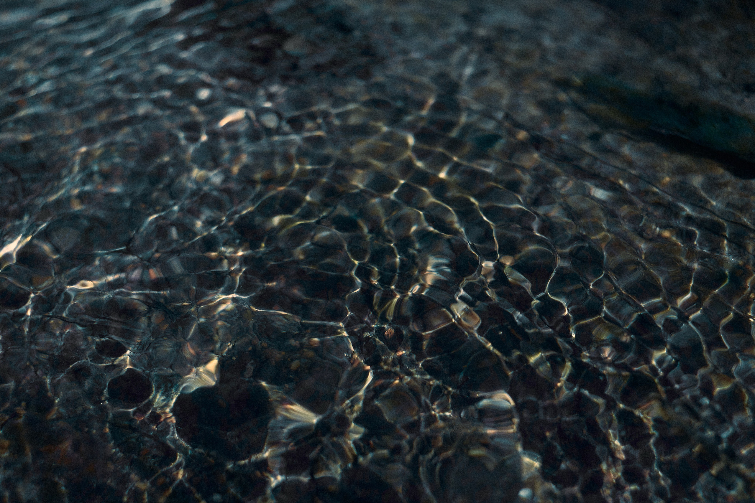 Art пейзаж. Фотограф Анастасия Федорова  Санкт-Петербург