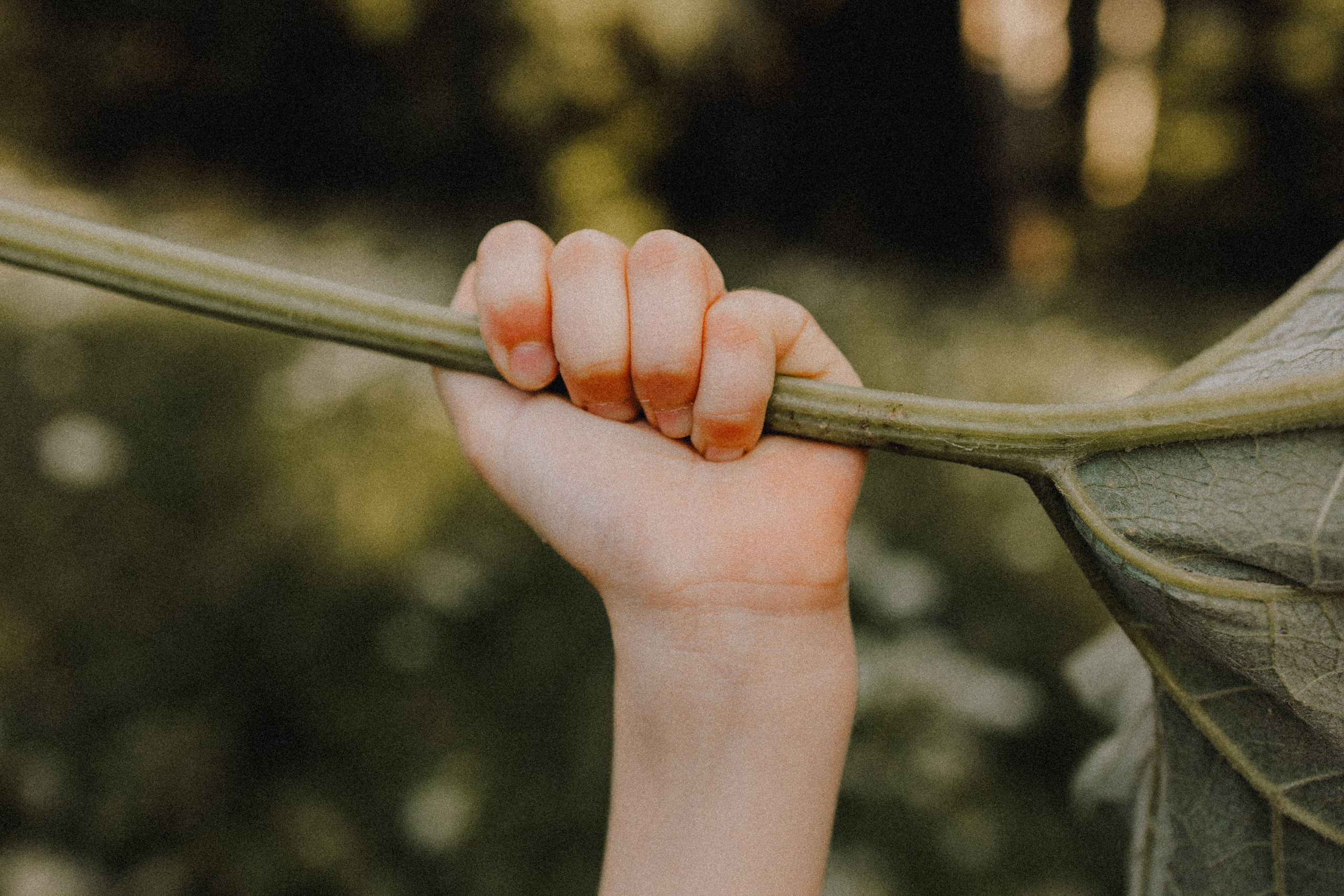Илья, Катя, Ваня и Соня. Семейный фотограф Москва