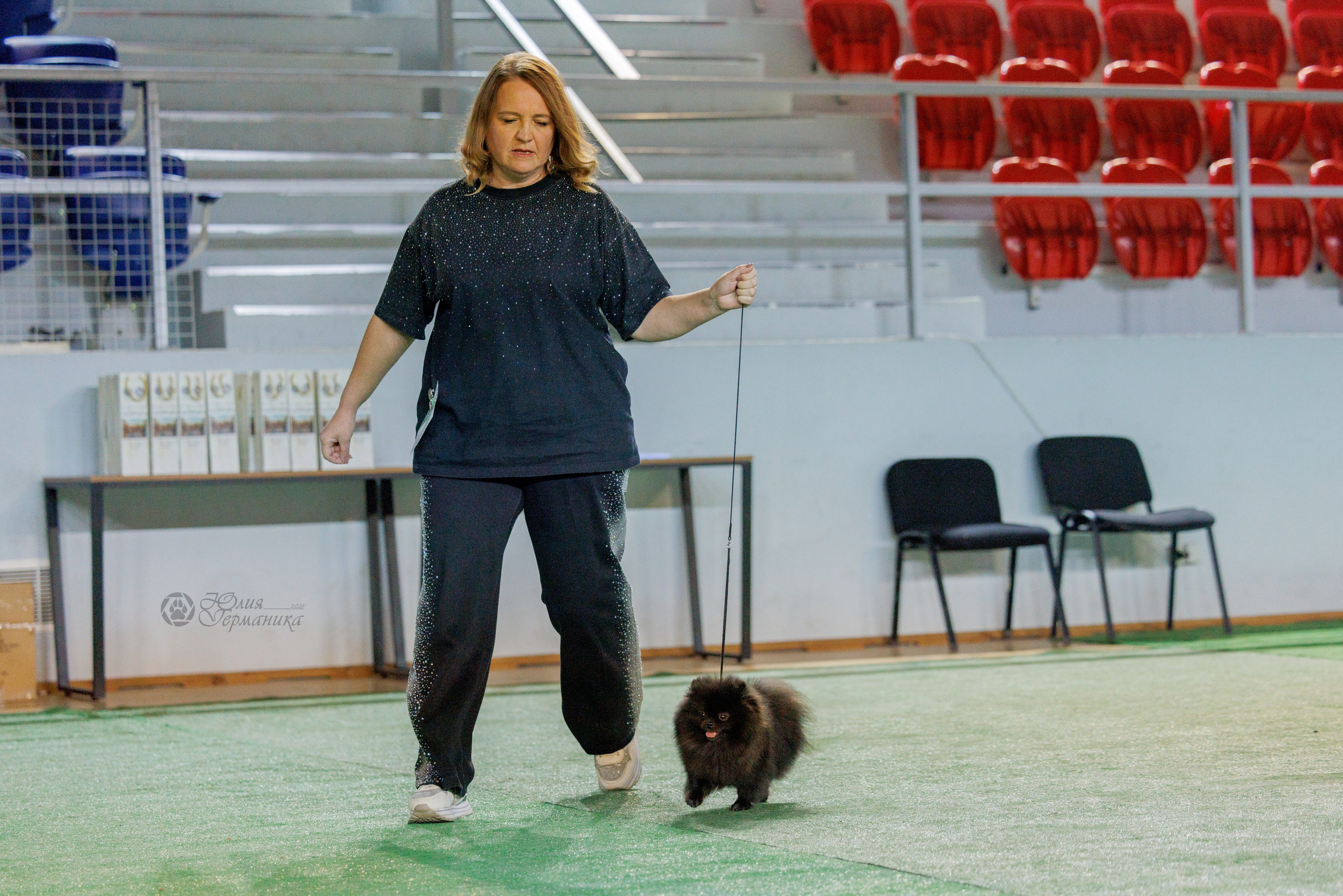 Грузия,Телави 2хCACIB 19-20.10.2024. Фотограф-анималист Юлия Германика