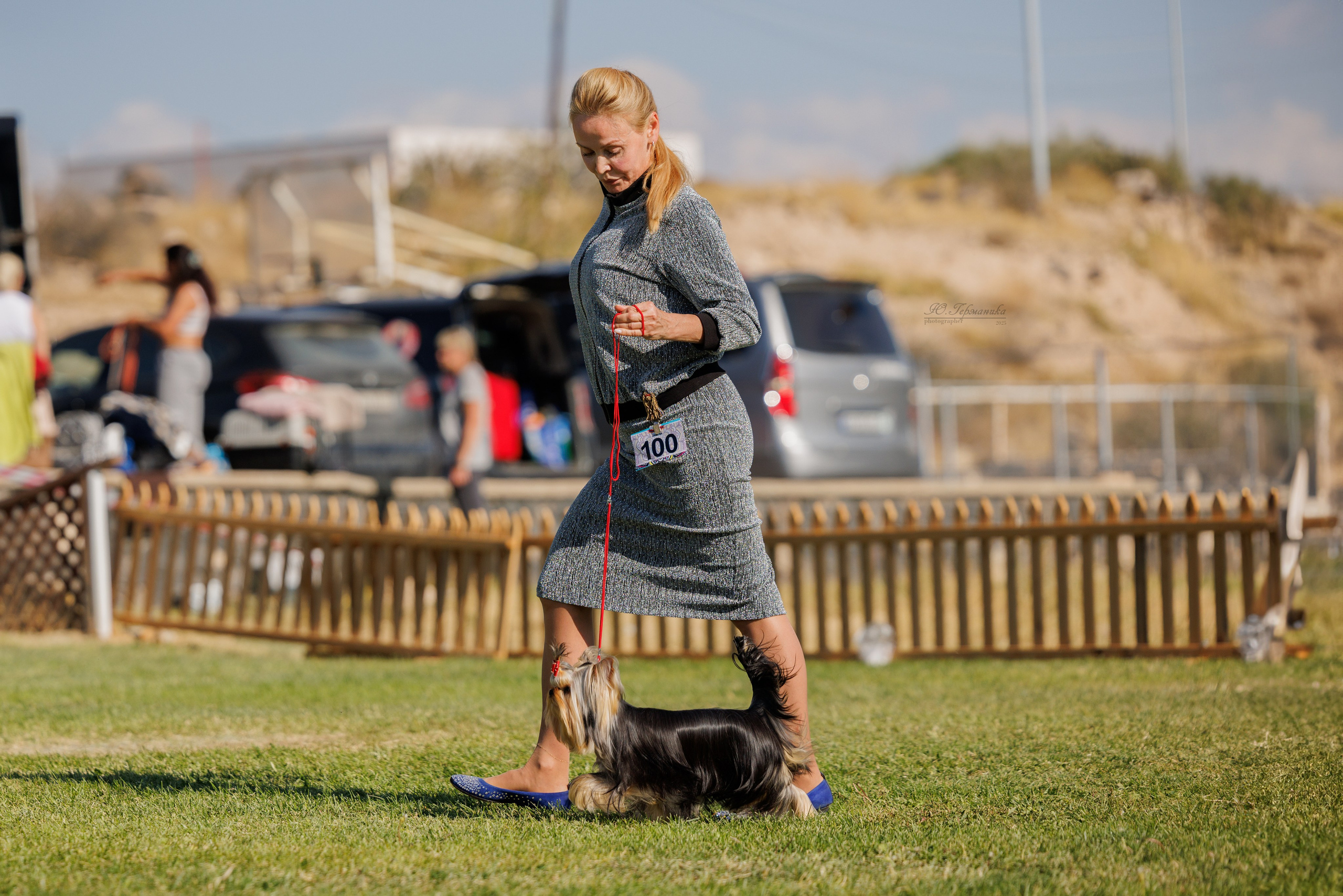 Ереван 14-16.10.2025. Фотограф-анималист Юлия Германика