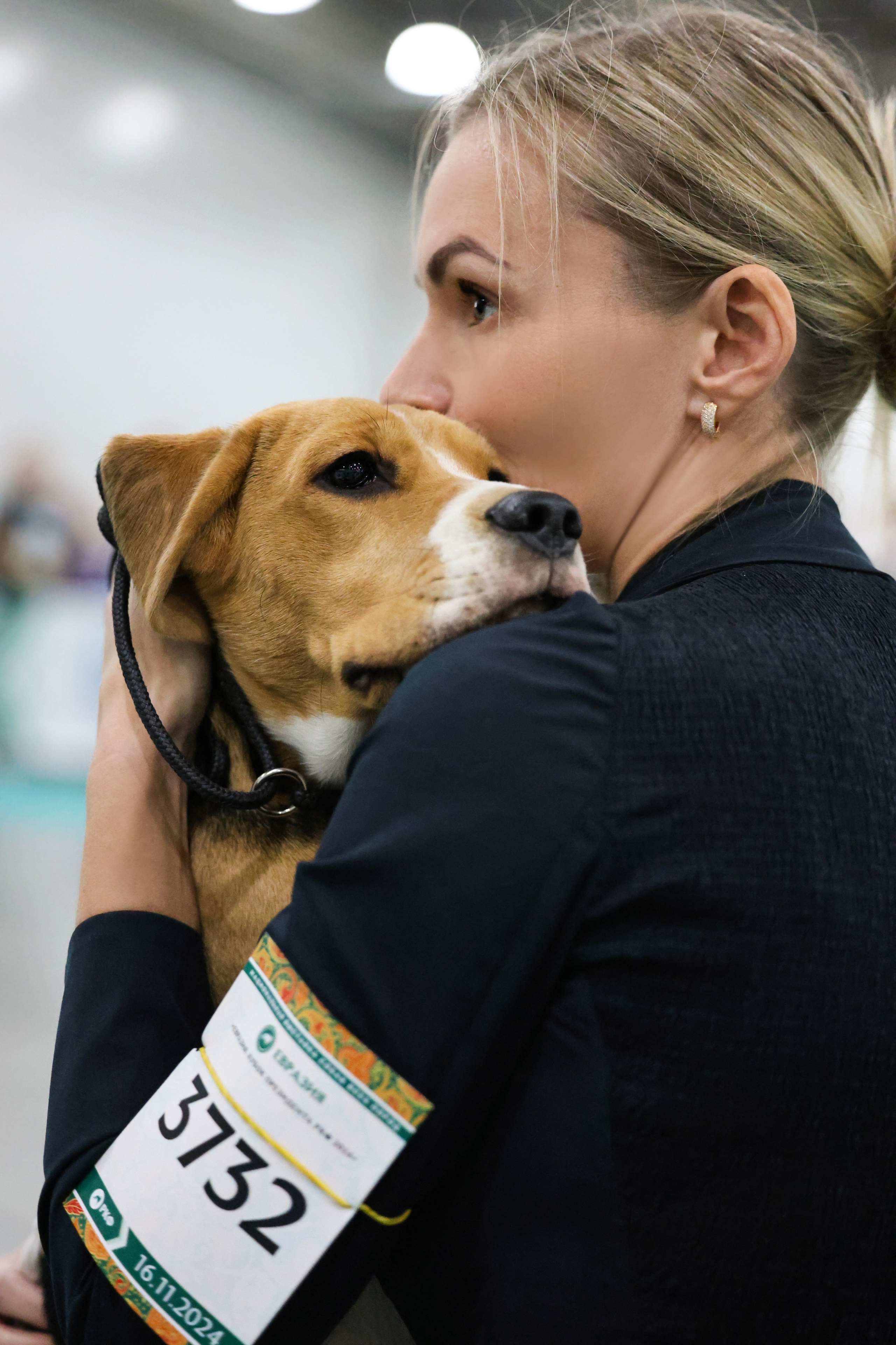 Съемка собак. Анималистика. Репортаж. Индивидуальная съемка
