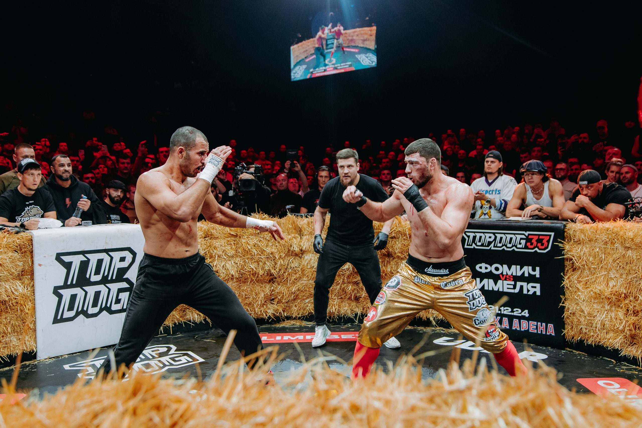 TOPDOG — 32. Фотограф в Саратове Александр Кухаренко. И не только в Саратове :)