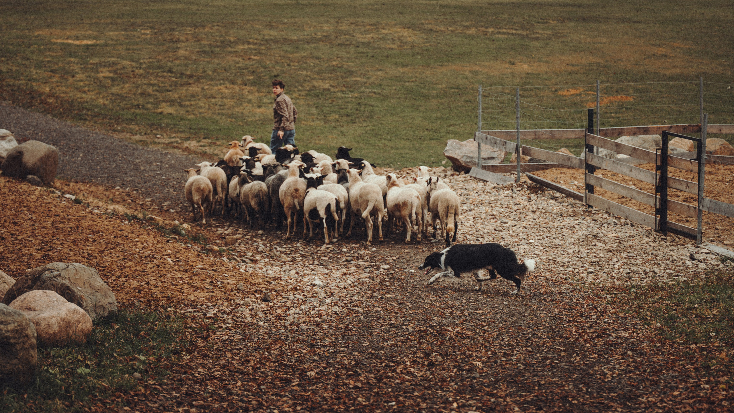 Настя и Рэги на ферме. Семейный фотограф анималист Ананьева Мария — Москва