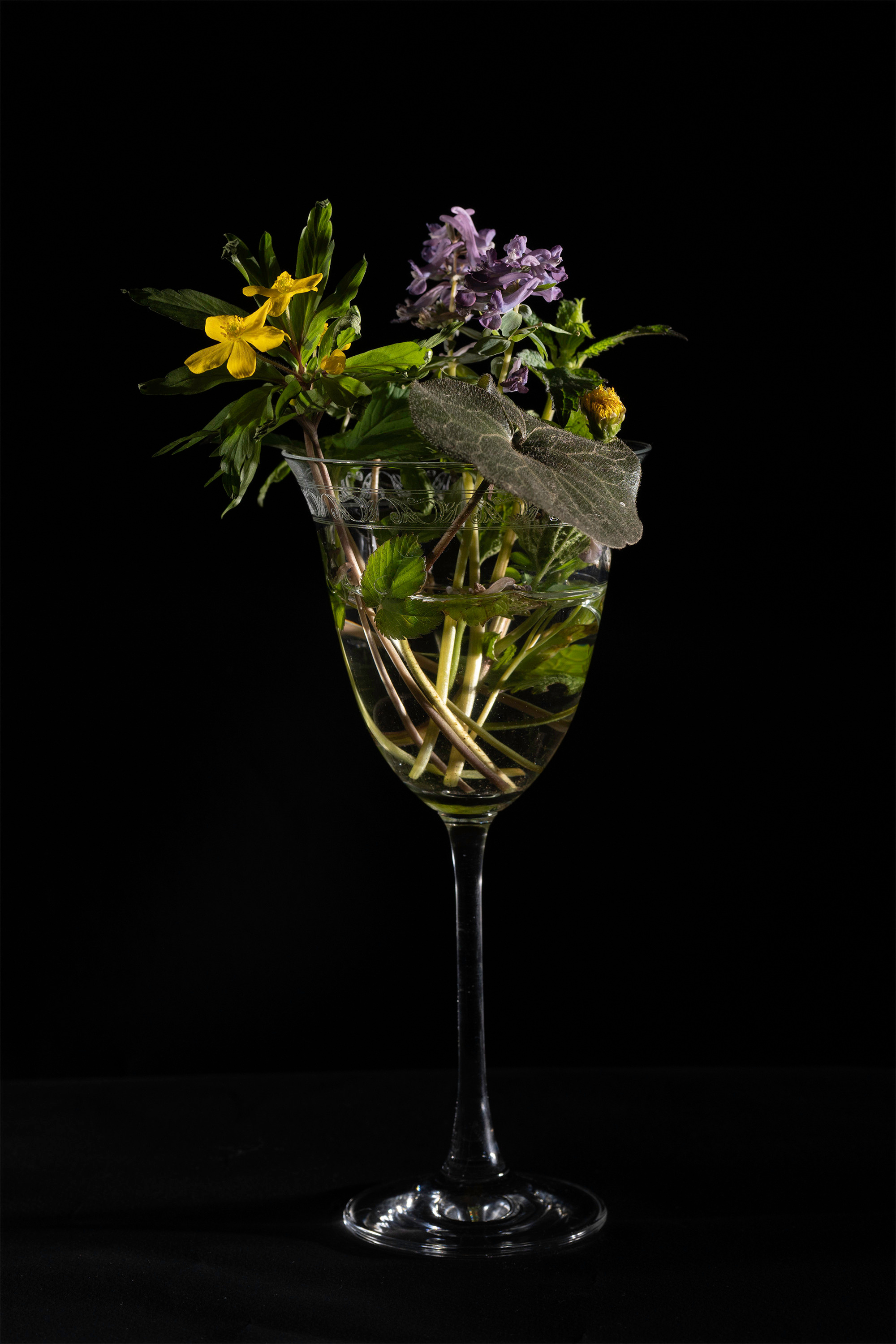 Isolation. Documentary and art photographer