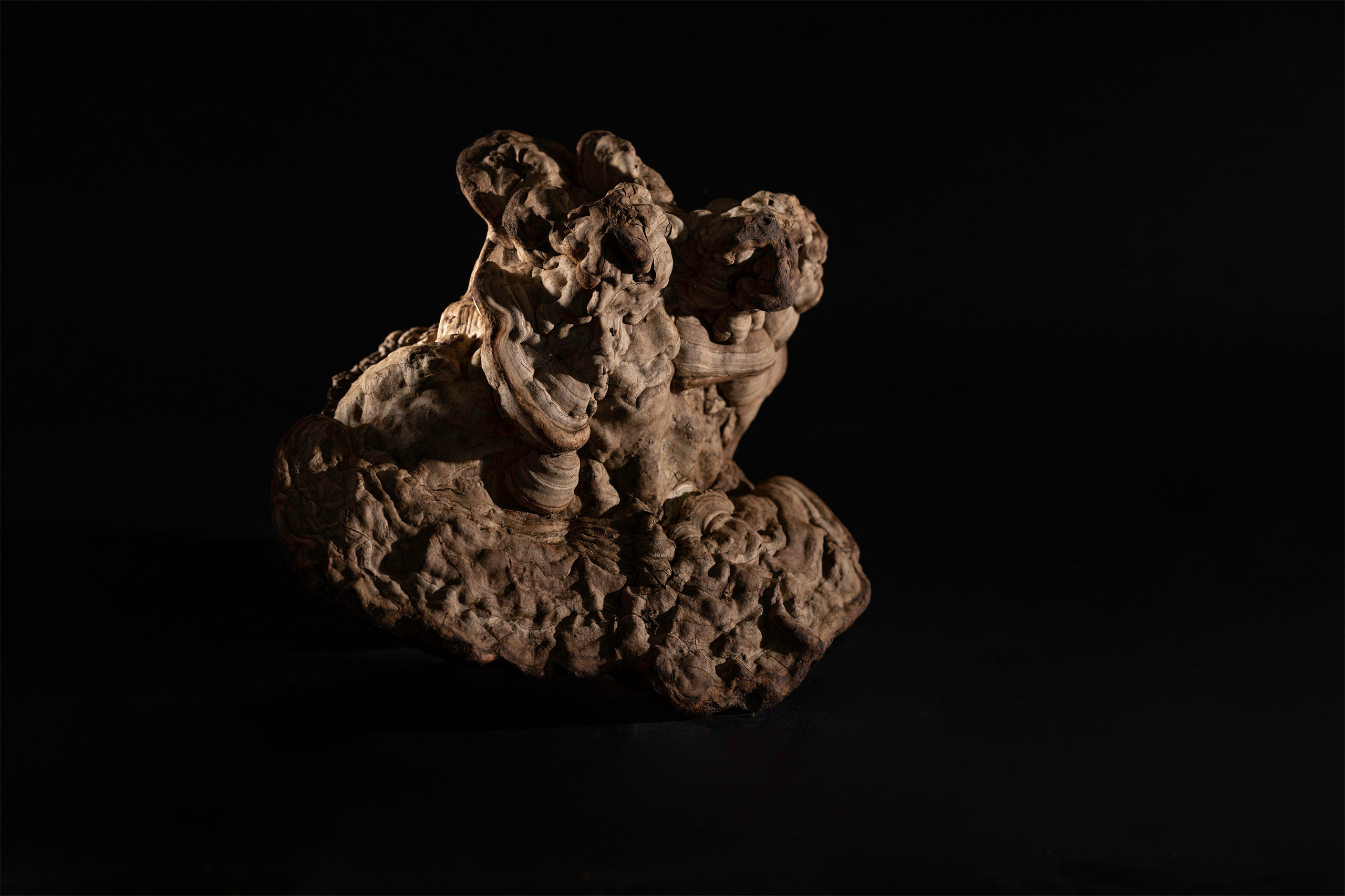 Isolation. Documentary and art photographer