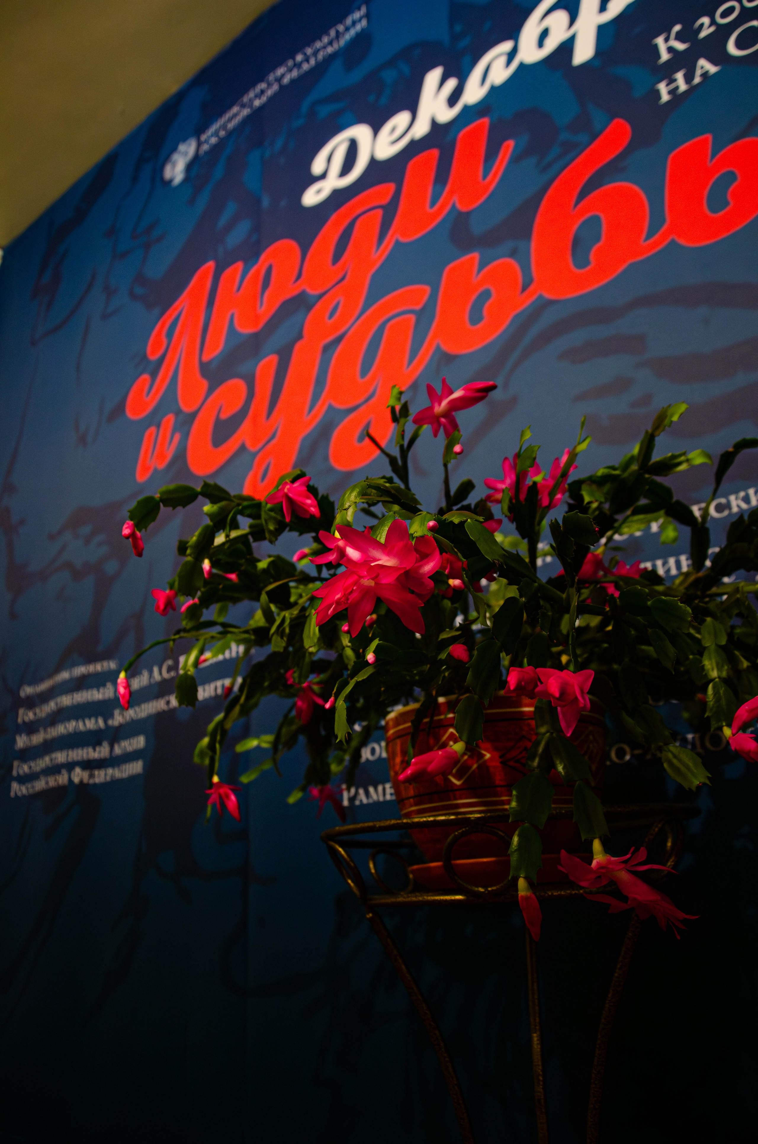 Предметная съемка. Photograph Balashkevich