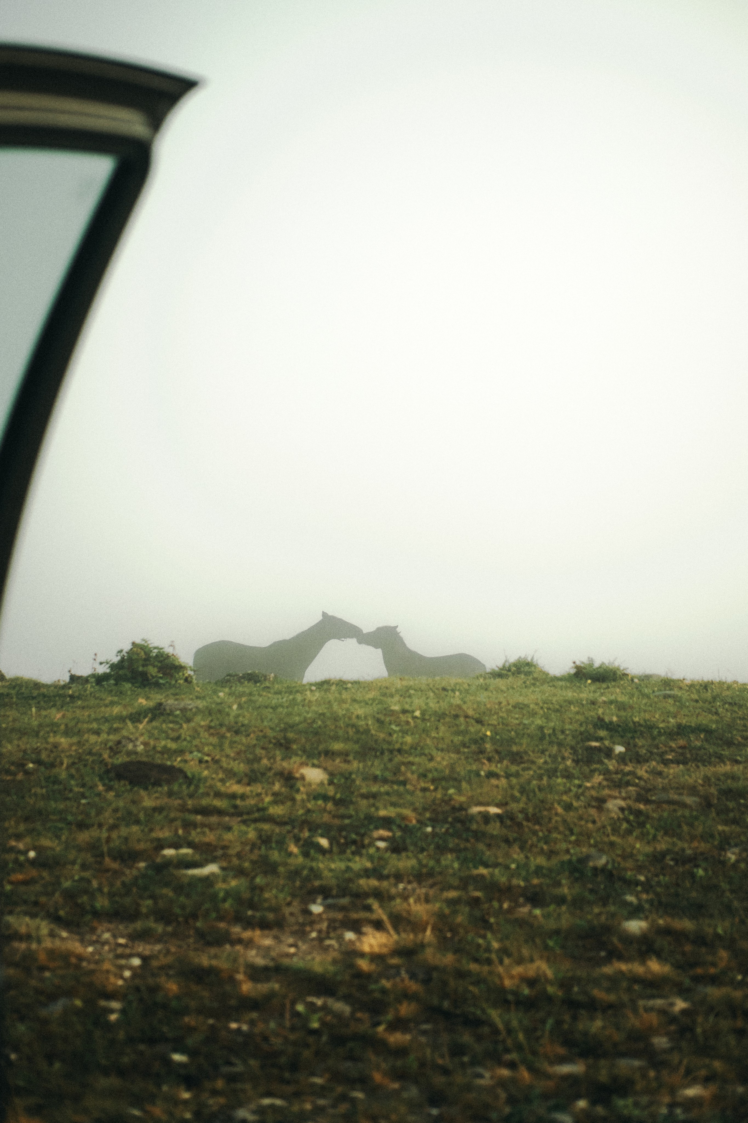 Владислав Воронов