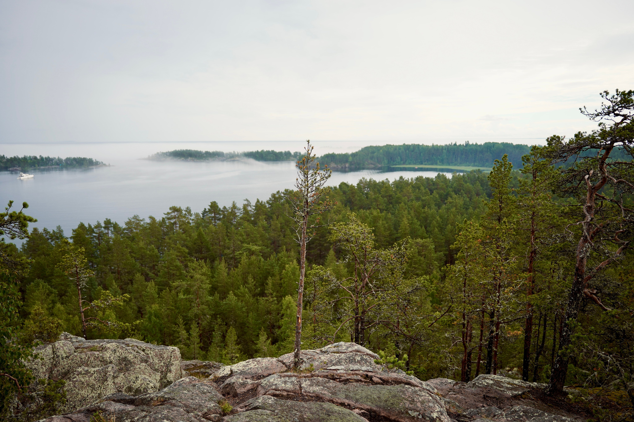 Ладога 2024. Семейный и детский фотограф Александра Гвоздикова