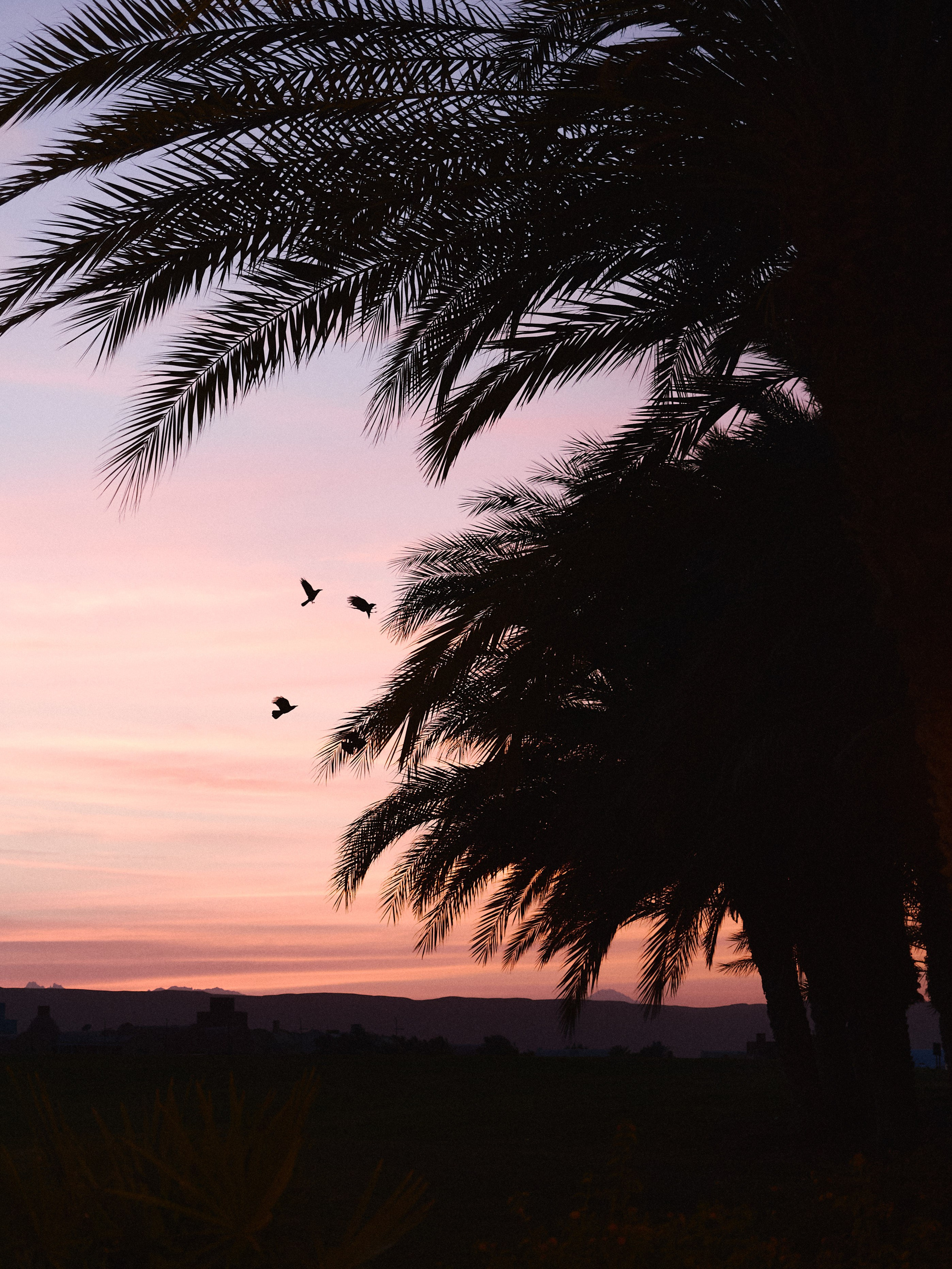 Диптих. Jorgis — фотограф в Хургаде / обучение фотографии