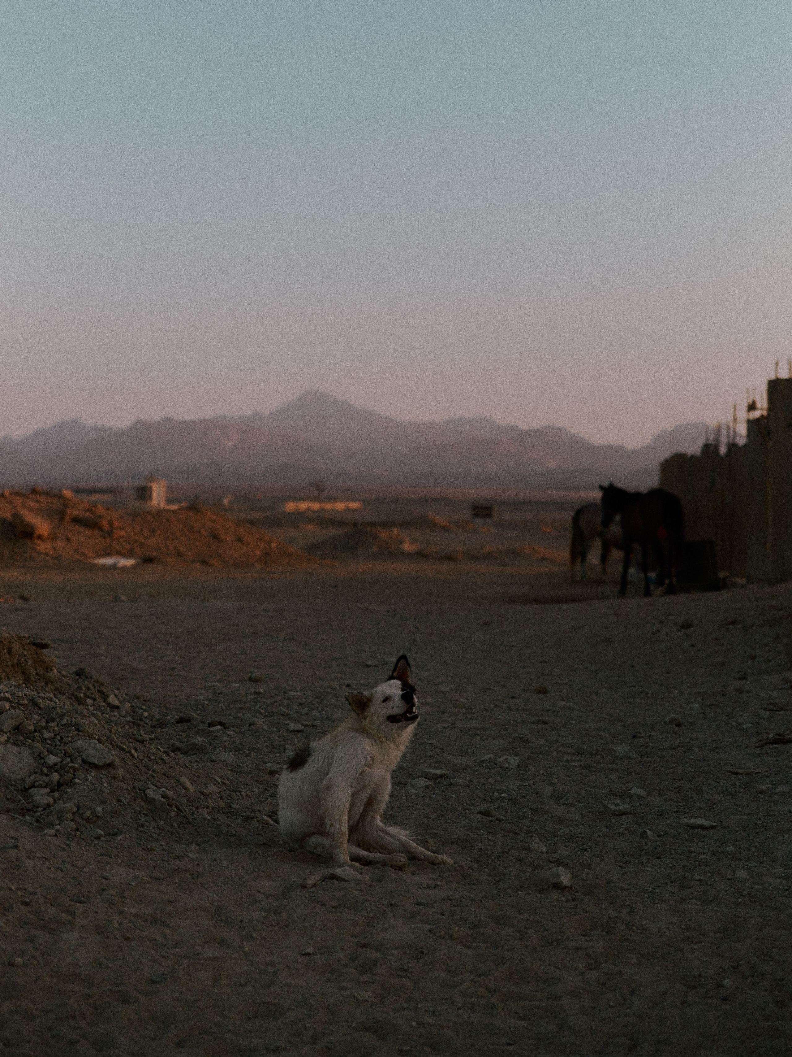 Диптих. Jorgis — фотограф в Хургаде / обучение фотографии