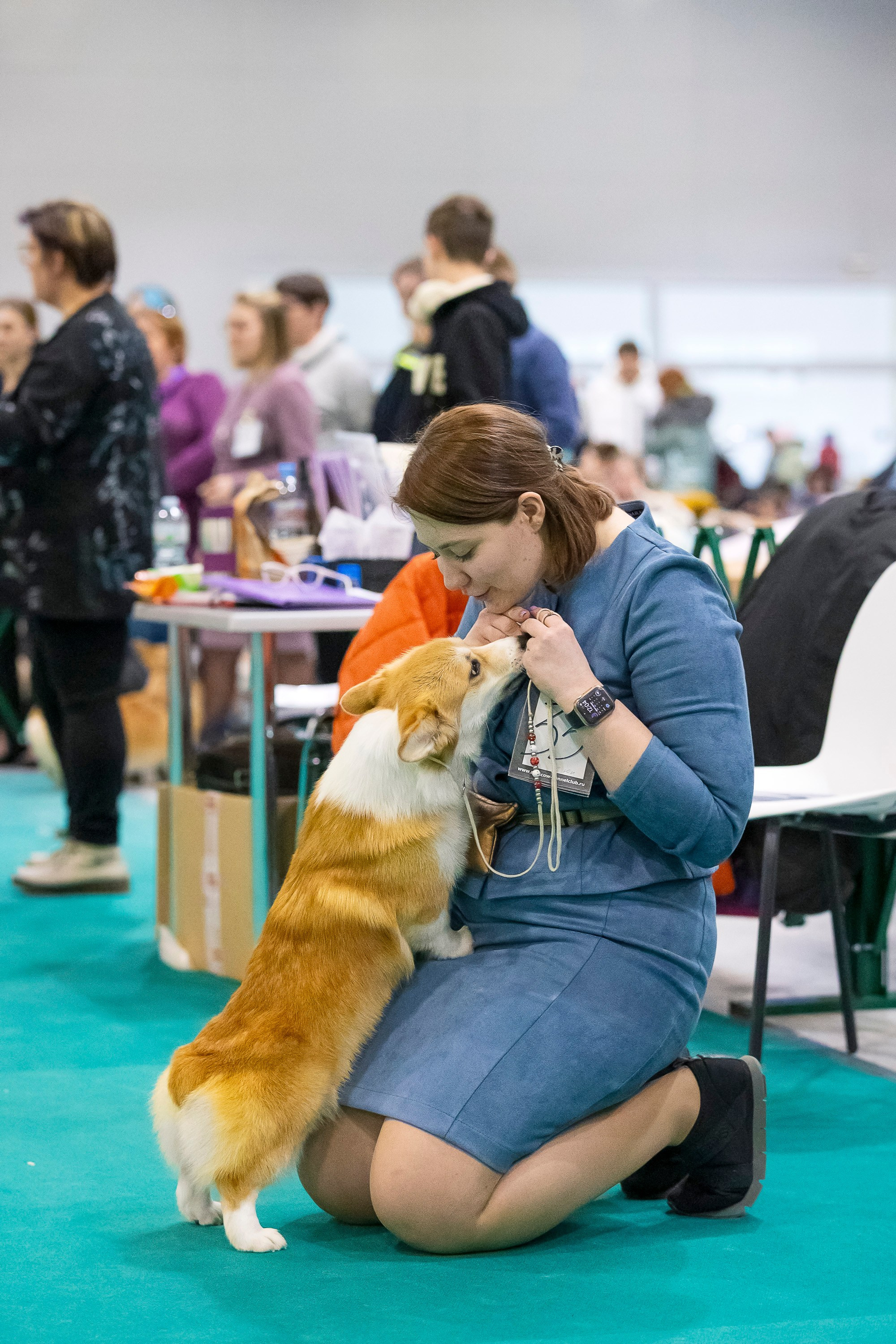 Крокус 10.02. Фотограф анималист, семейный фотограф, фотограф собак Комратова Мария. г. Москва