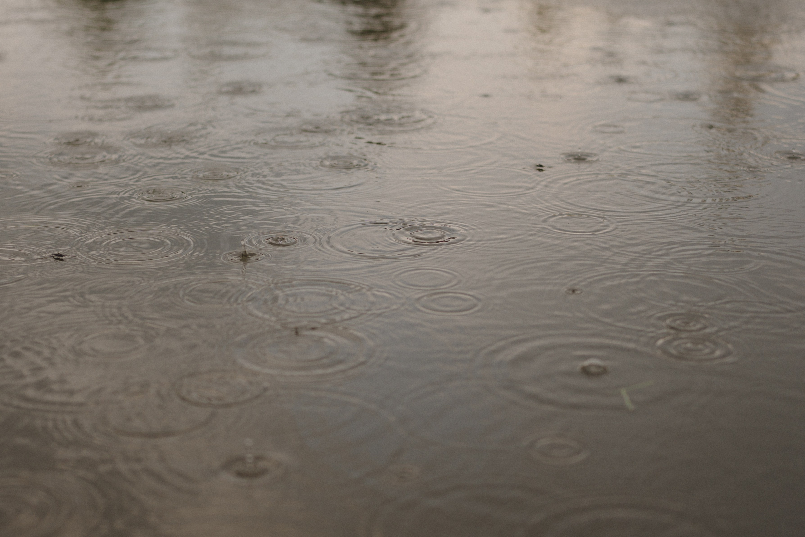 Егор+Вика. Свадебный и репортажный фотограф Александр Родин
