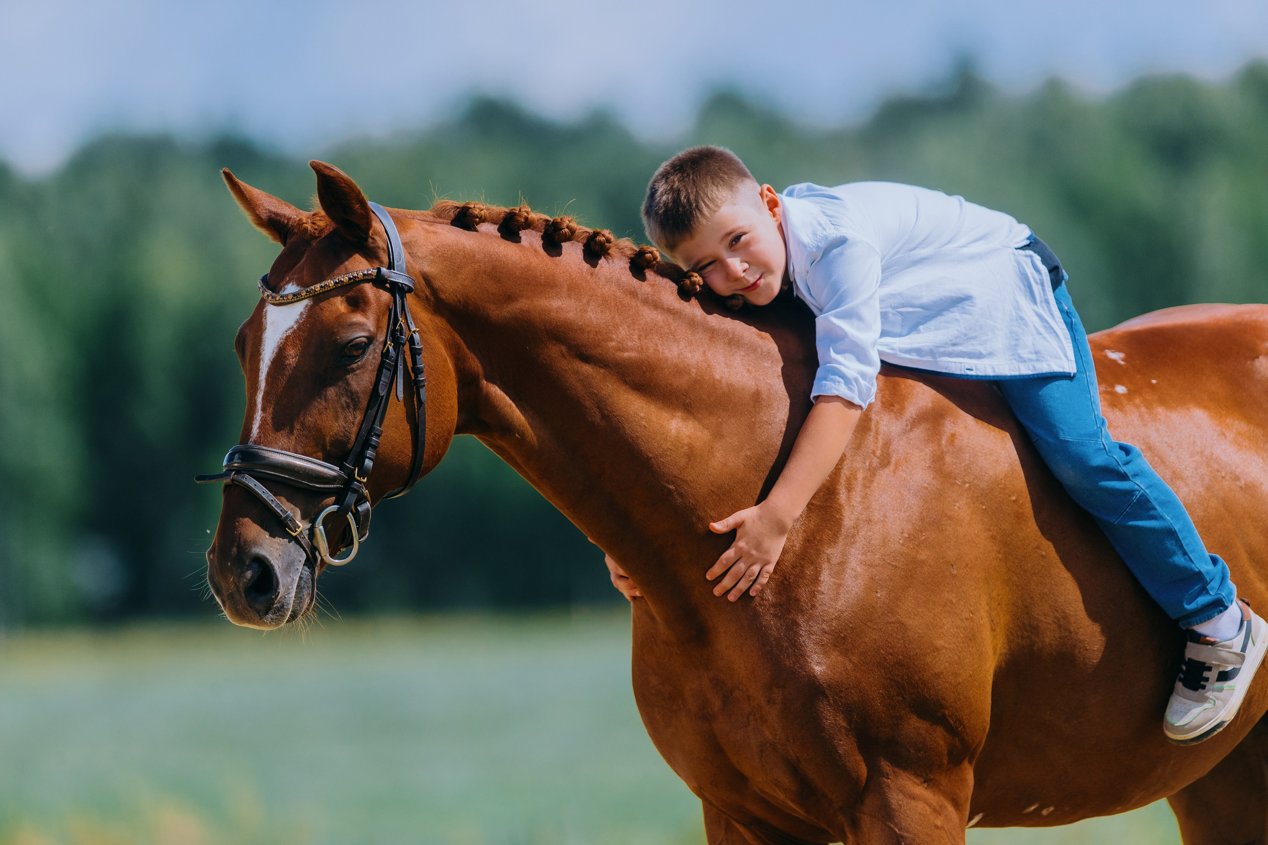 Лена, Серёжа, Петя и Брабус. Фотограф-анималист Ксендзова Кристина