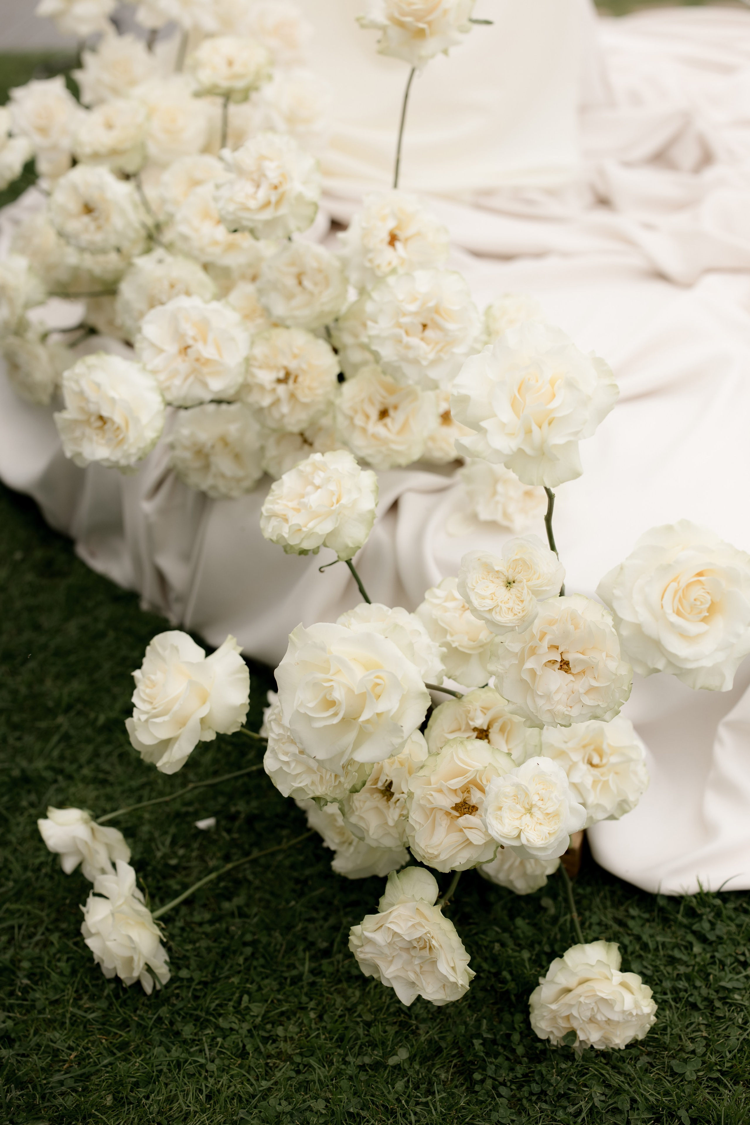 Кирилл & Анастасия. Организатор- Елена Гаманович. Главная