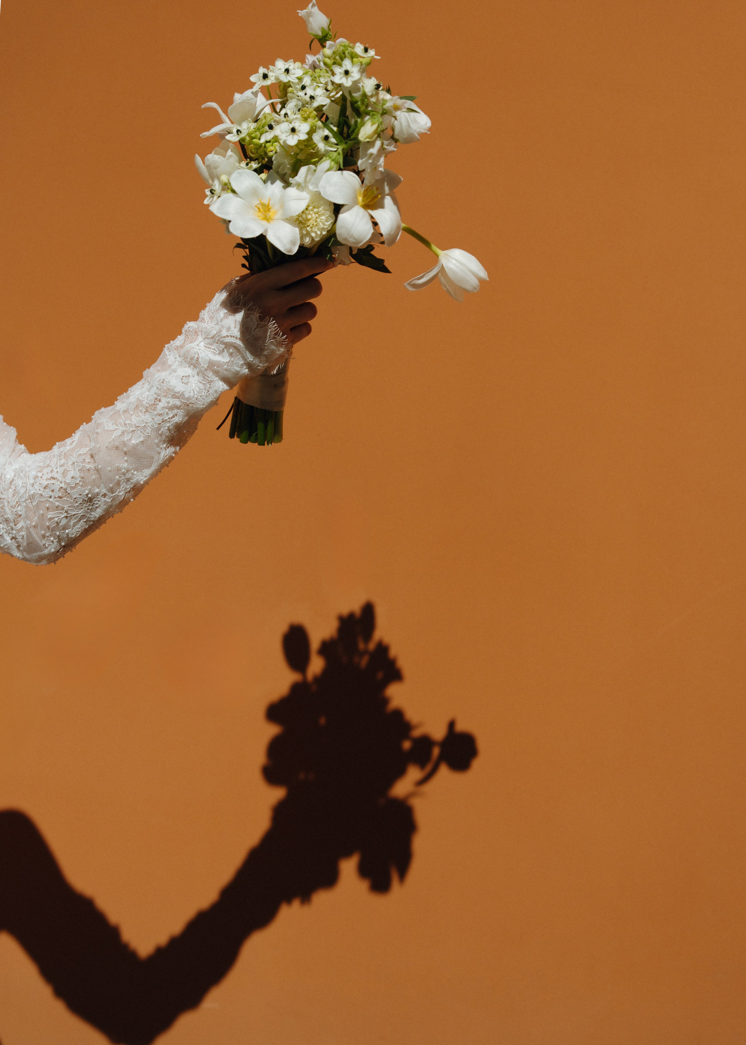 Портфолио. Свадебный фотограф в Петербурге Перечнева Таша (Таша Вайб)