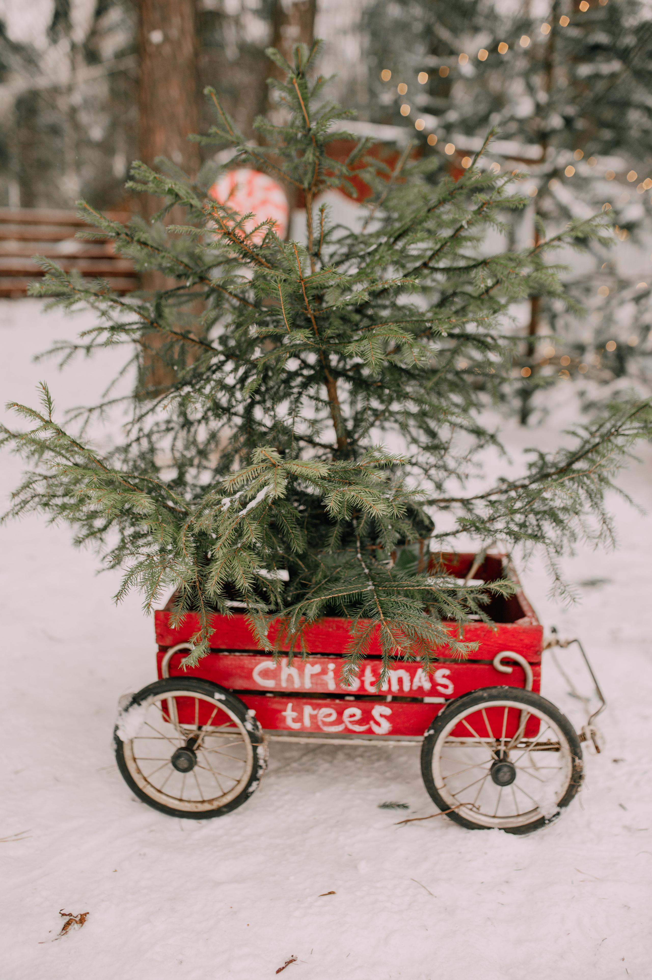 1+1=5. Семейный и детский фотограф в Туле