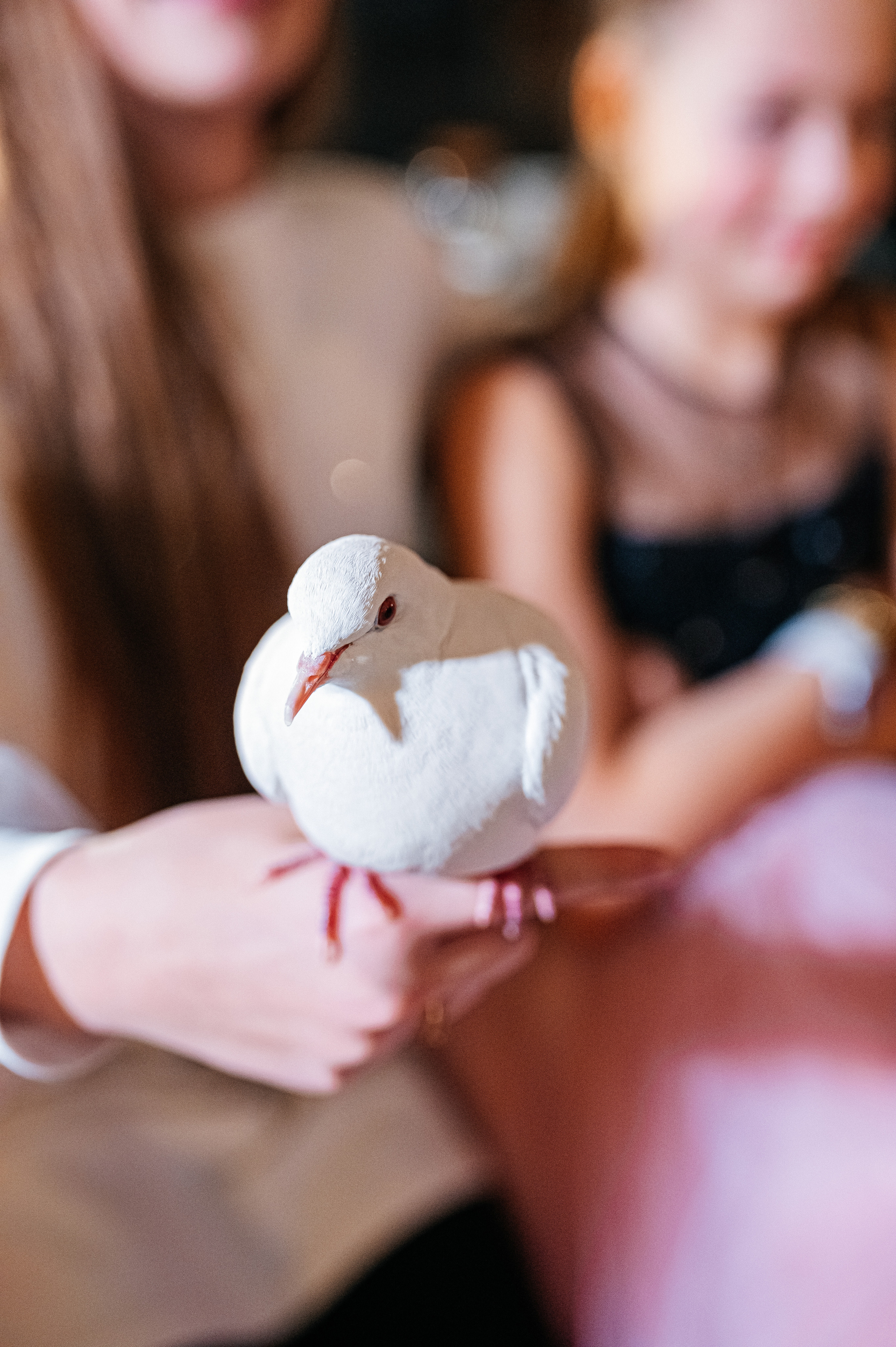 Репортажи Дети. Семейный и детский фотограф в Туле