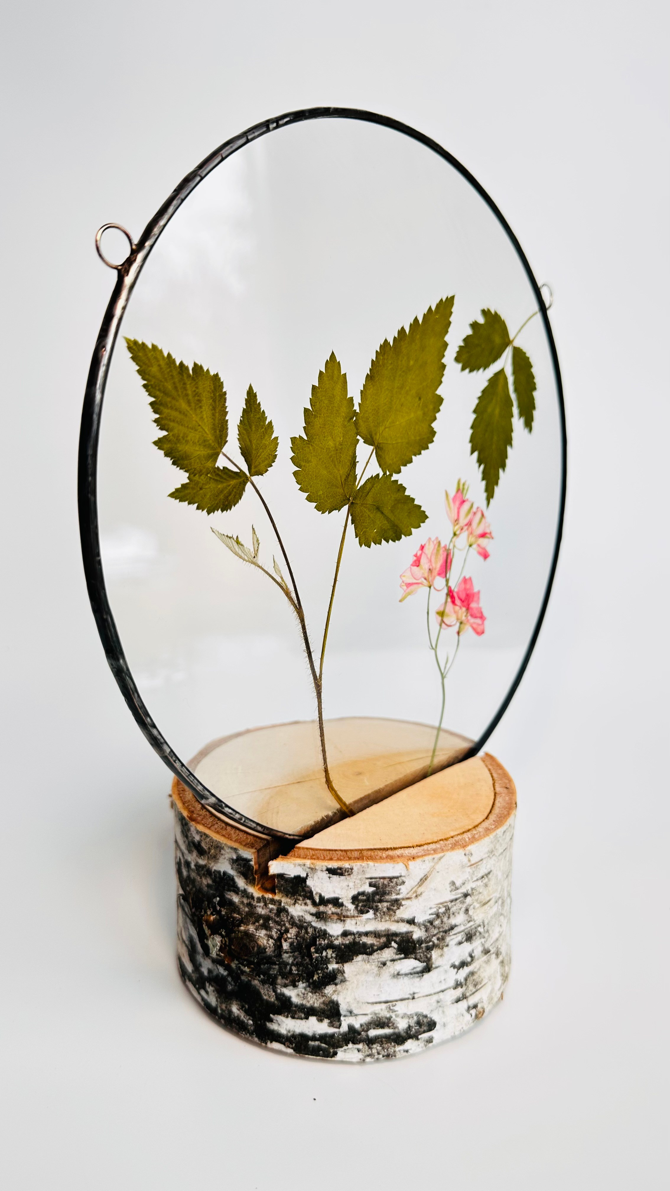 Гербарий в стекле с сухоцветами (витраж в технике тиффани). Гербарий в стекле, интерьерные панно, витражи с сухоцветами в технике тиффани