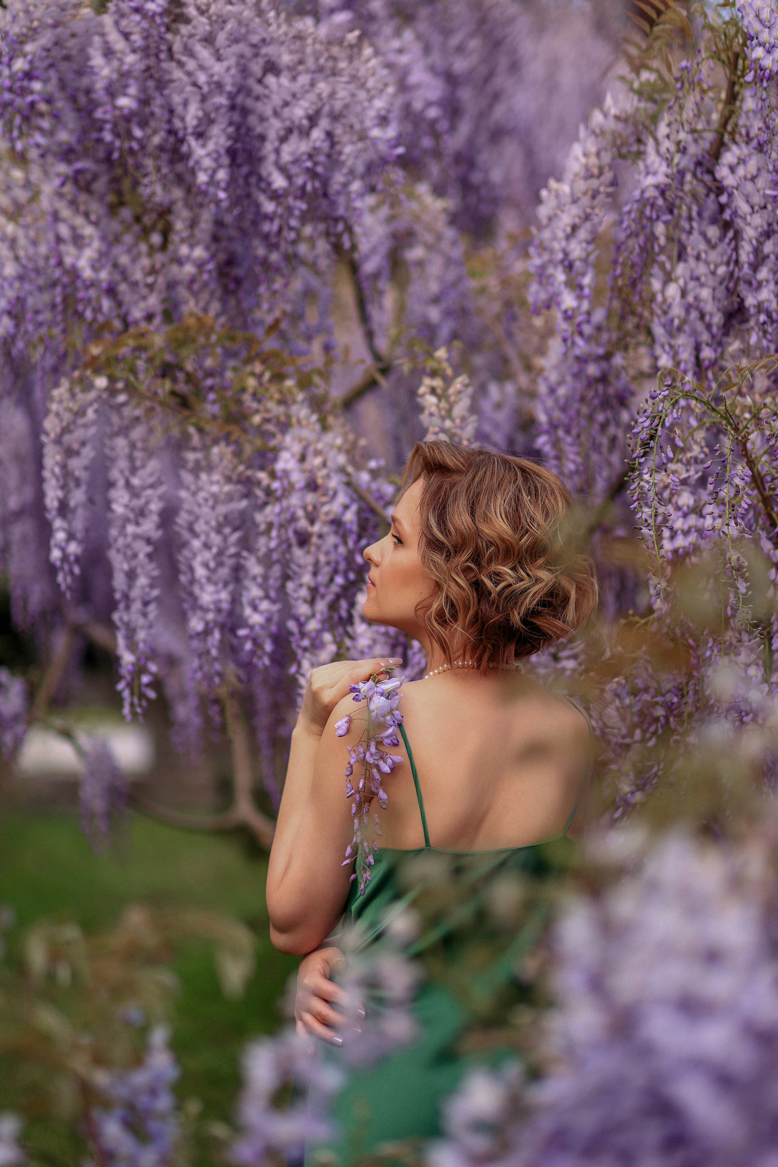 Цветение. Магнолия. Сакура. Фотограф в городе Сочи