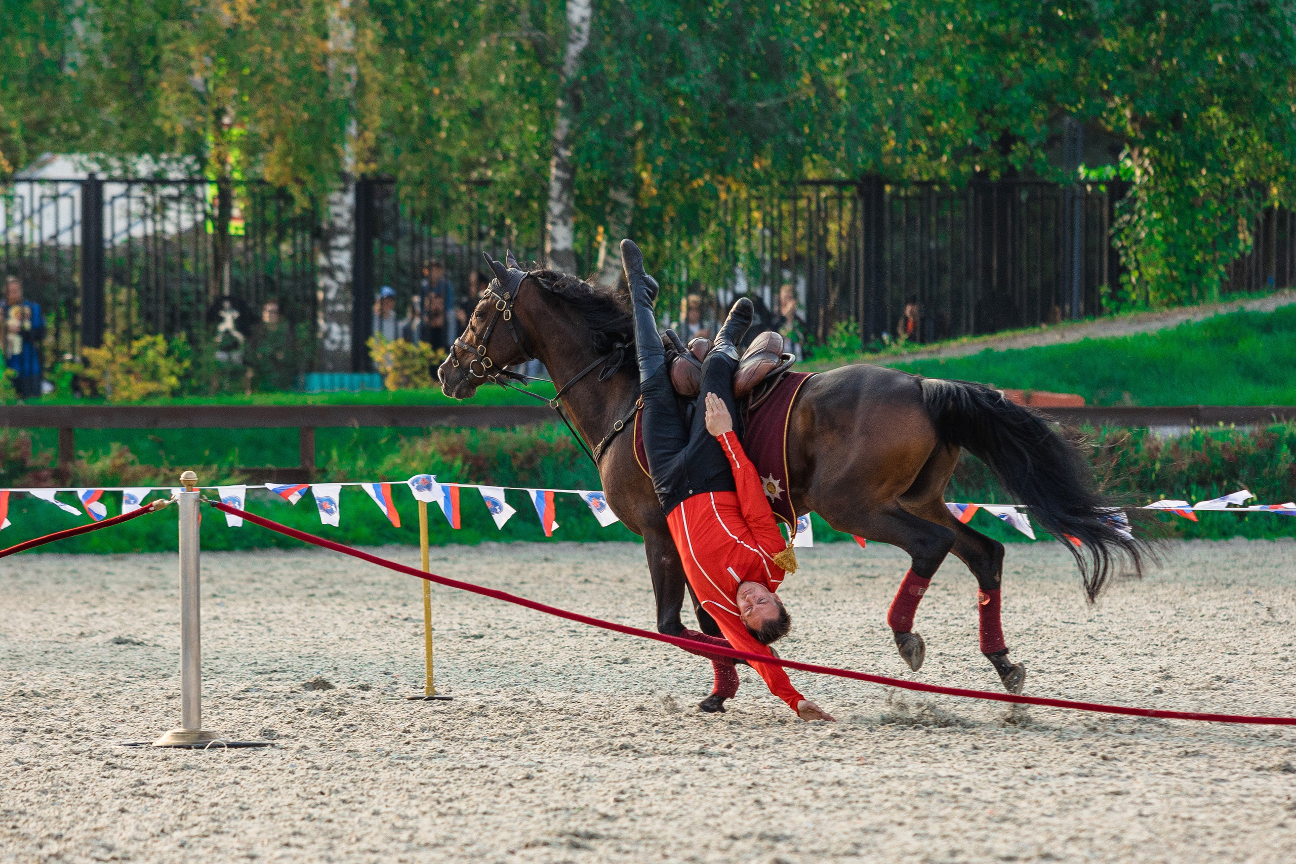 Кубок Президента. Спортивный и репортажный фотограф Андрей Баскаков