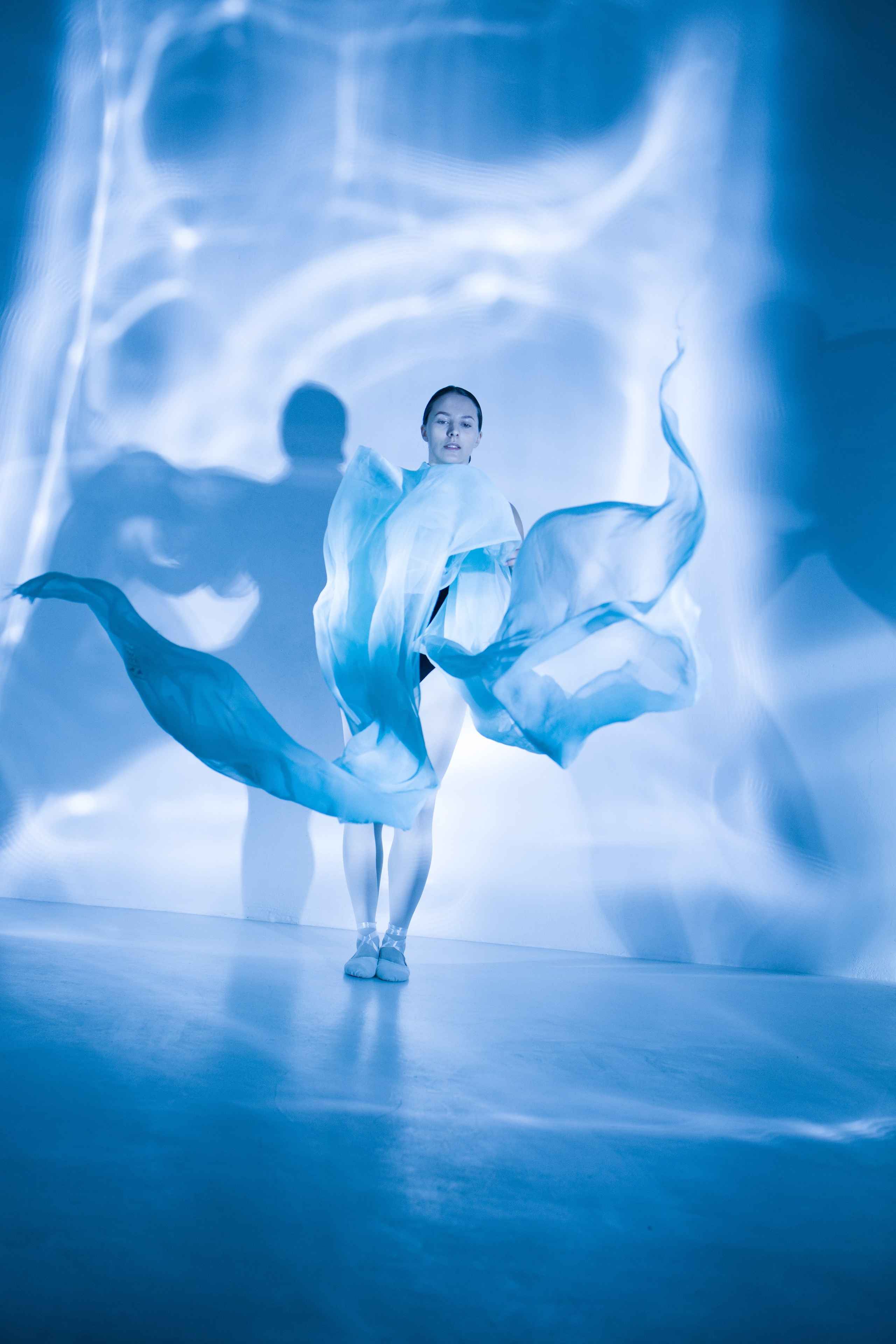 Лилия. Художественная фотография