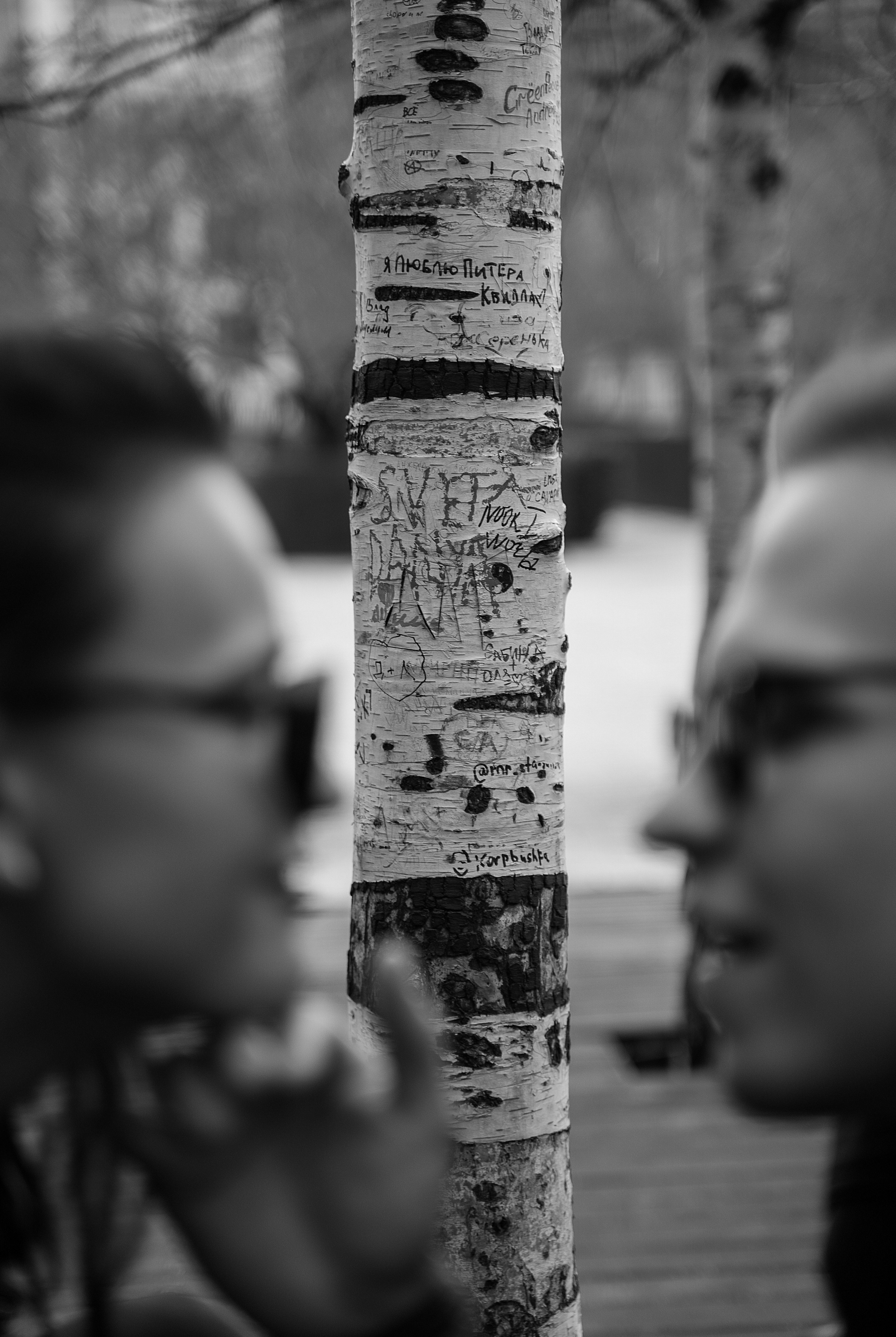 Артем и Татьяна. Свадебный фотограф