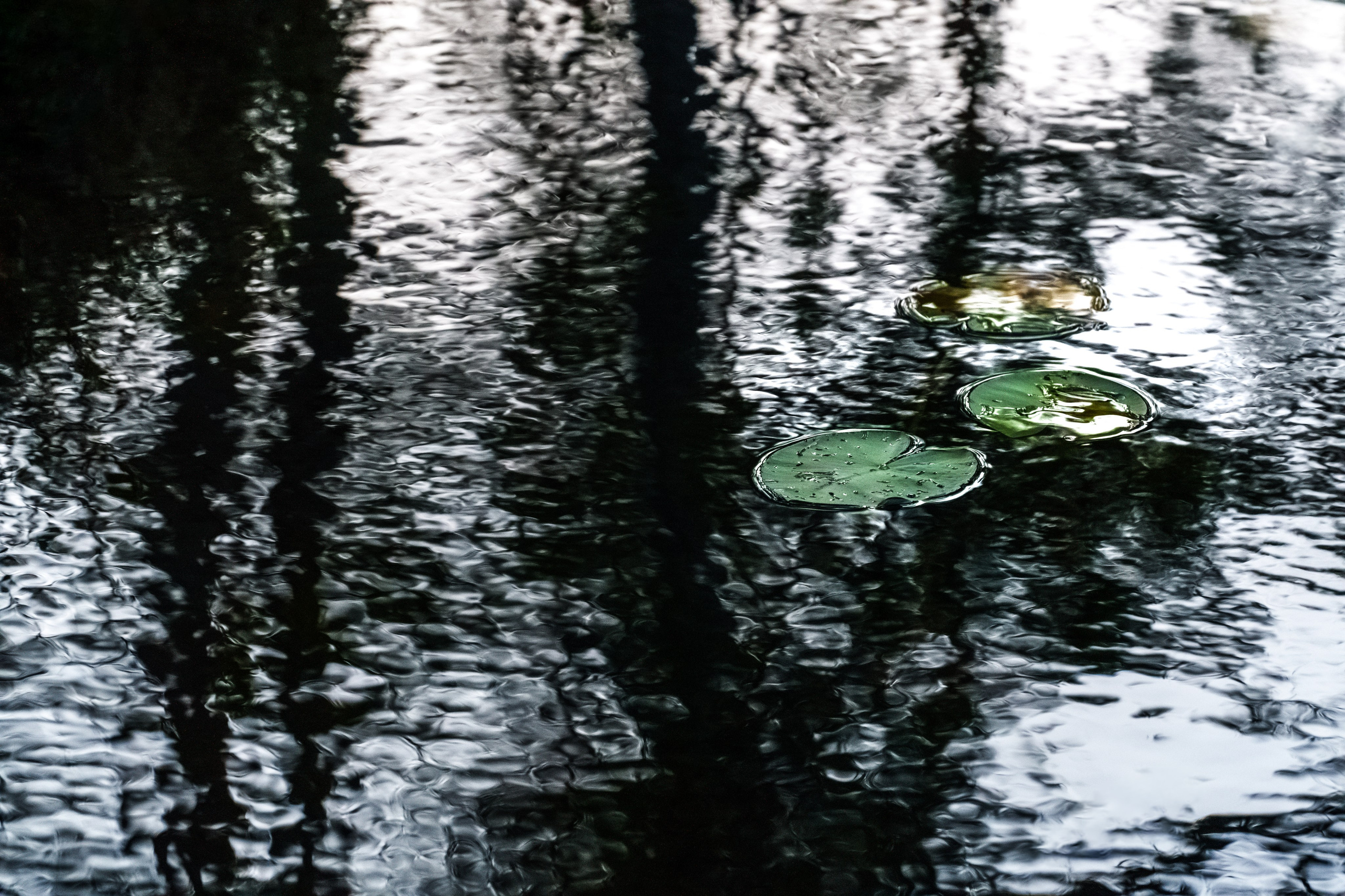 Осенняя Карелия