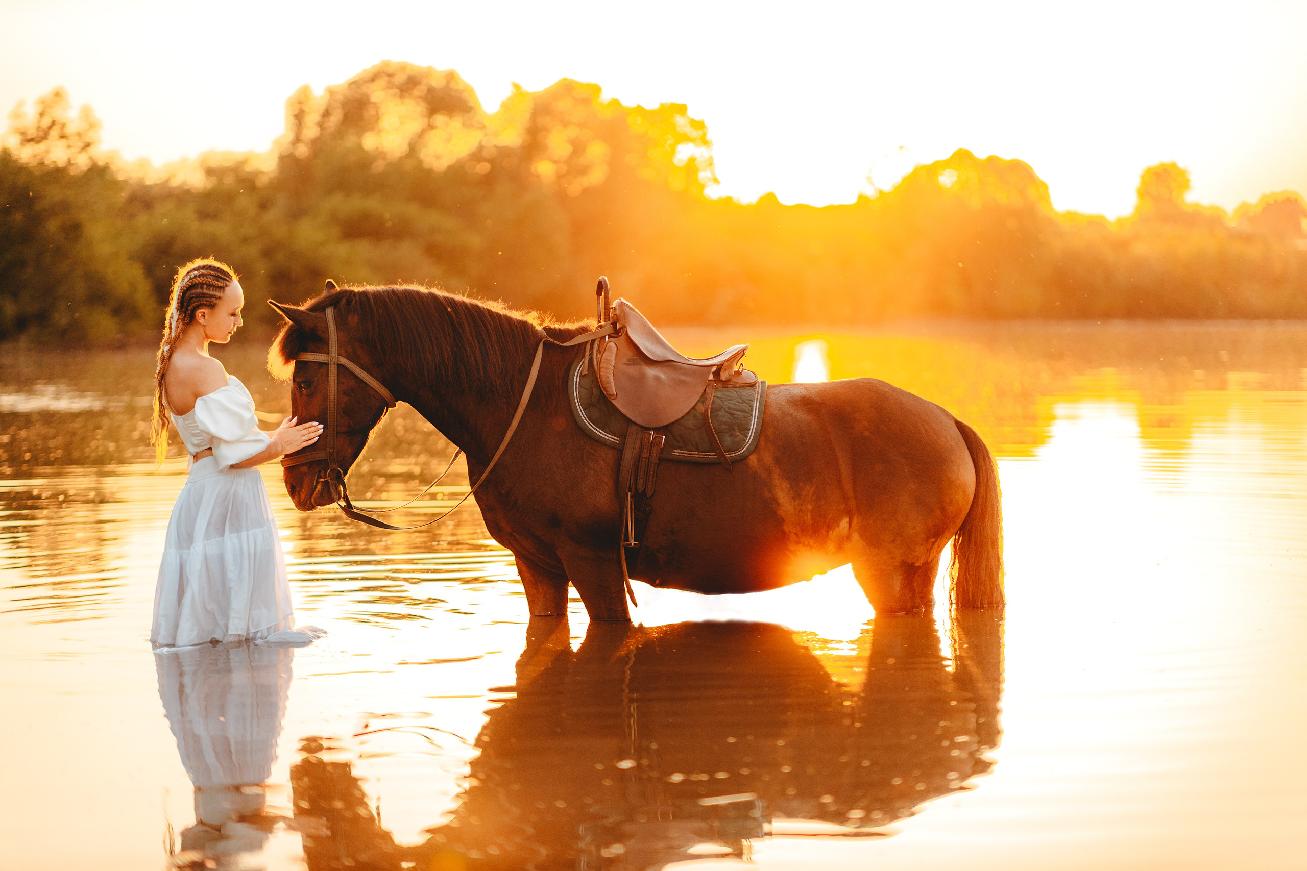 Закатная история