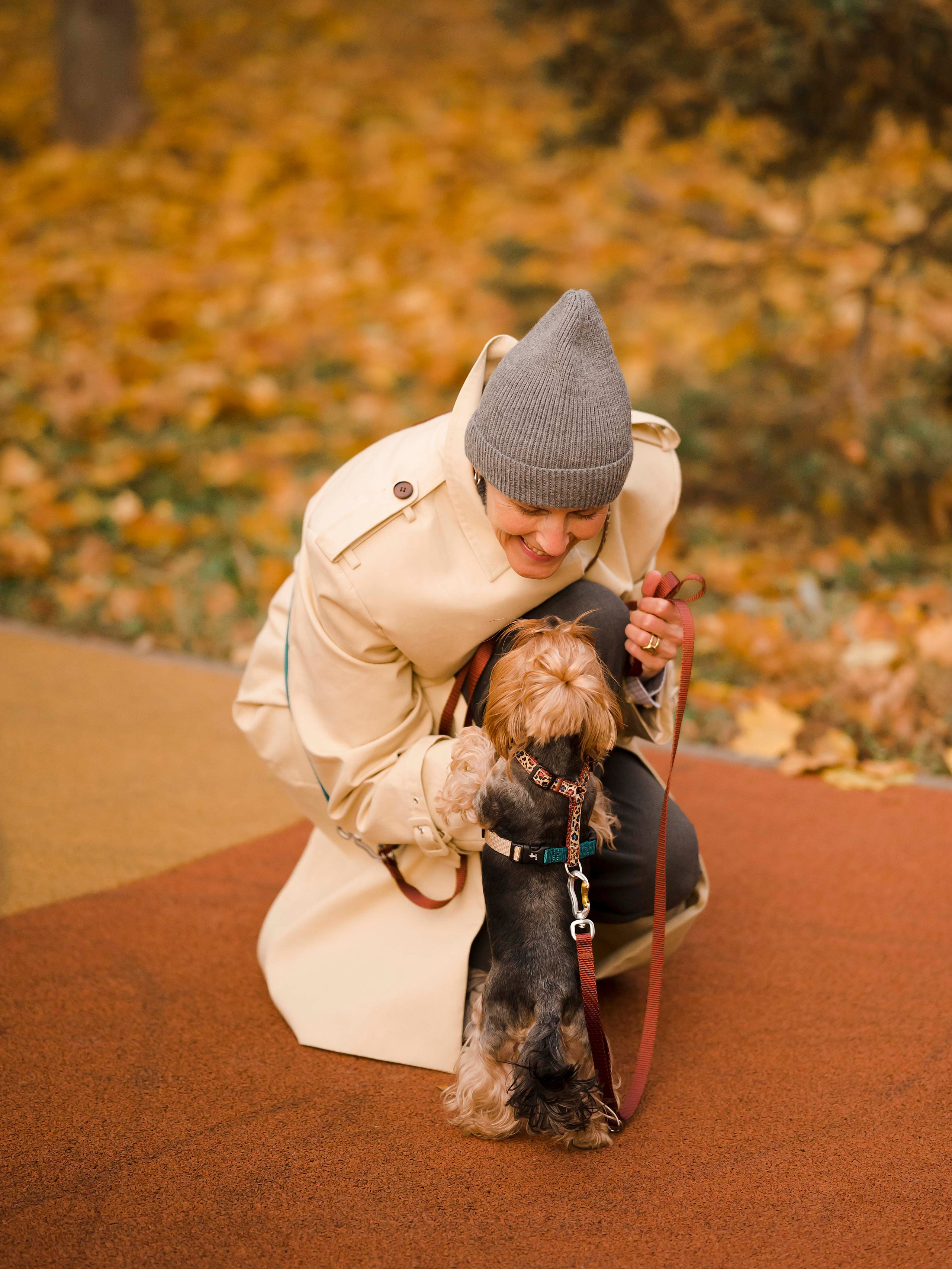 Шарик дог. Фотограф- анималист Александра Матвеева