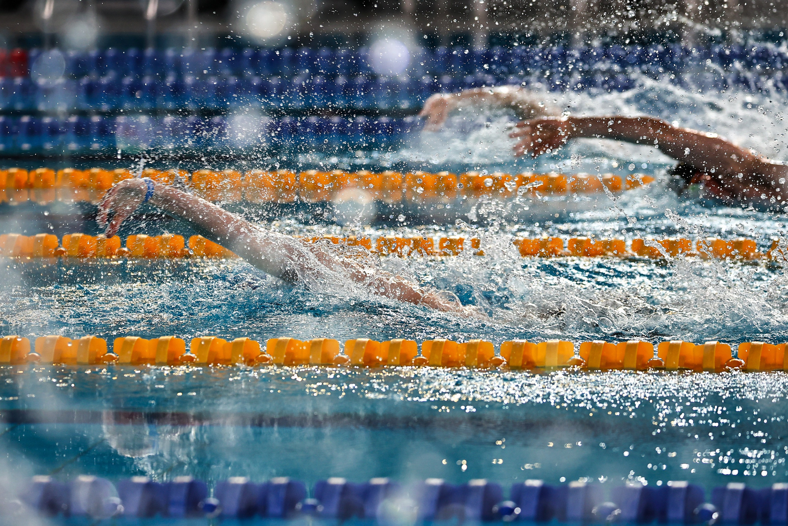 ДЗМ Плавание 2026. Фототерапевт Ева Бунеева