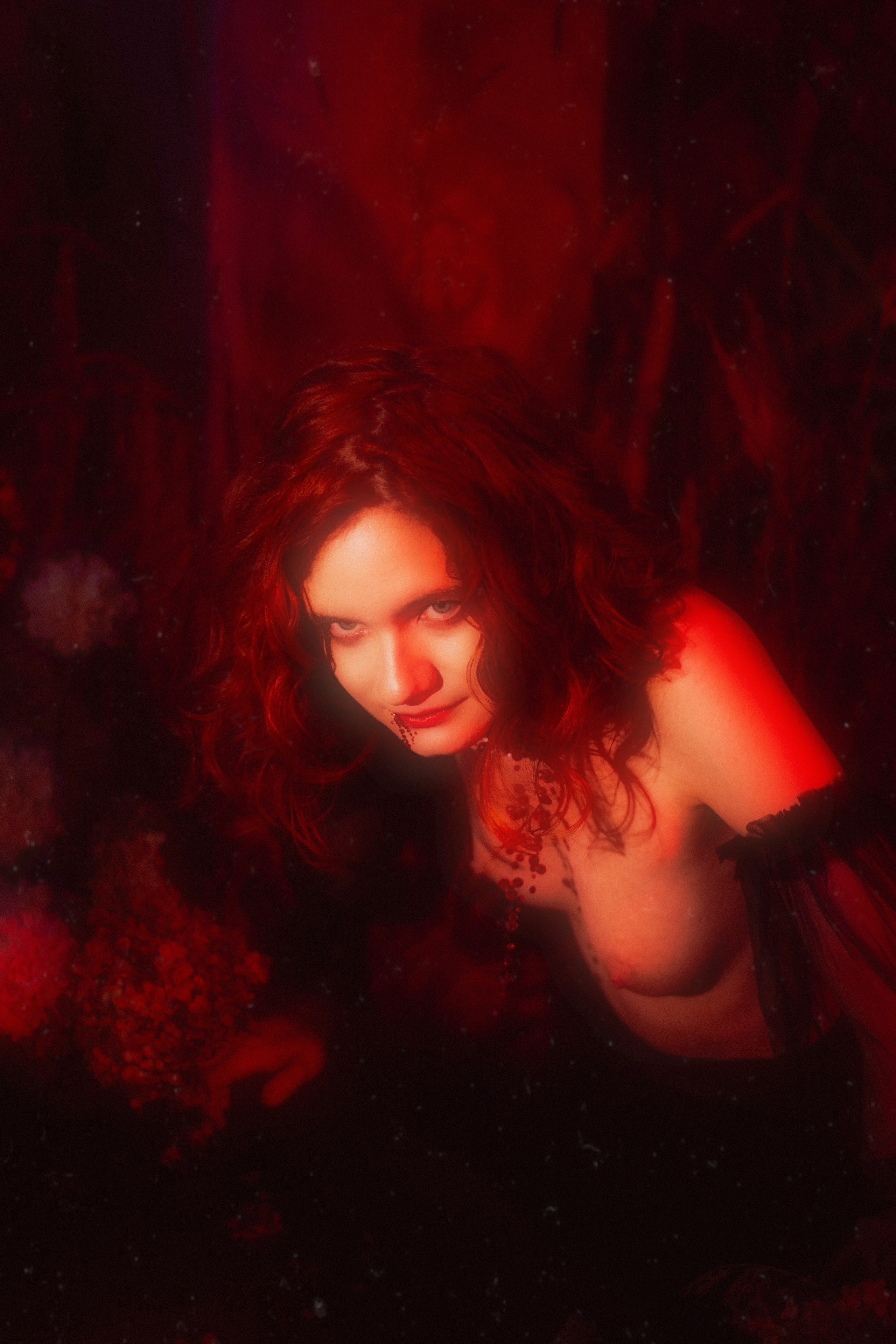 Noblesse vampire (Original), Санкт-Петербург 2024. Фотограф NotSilver